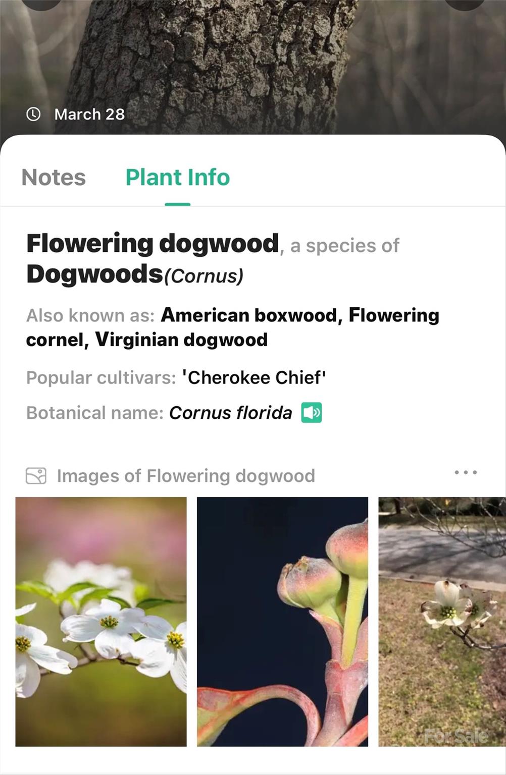 1099 Mitchell View Drive 915/915a Property Photo 28
