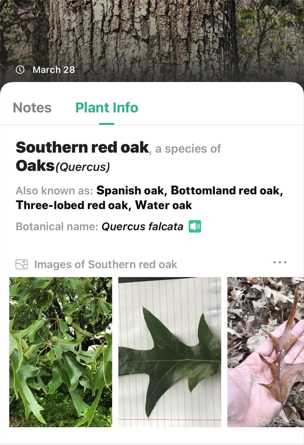 1099 Mitchell View Drive 915/915a Property Photo 29