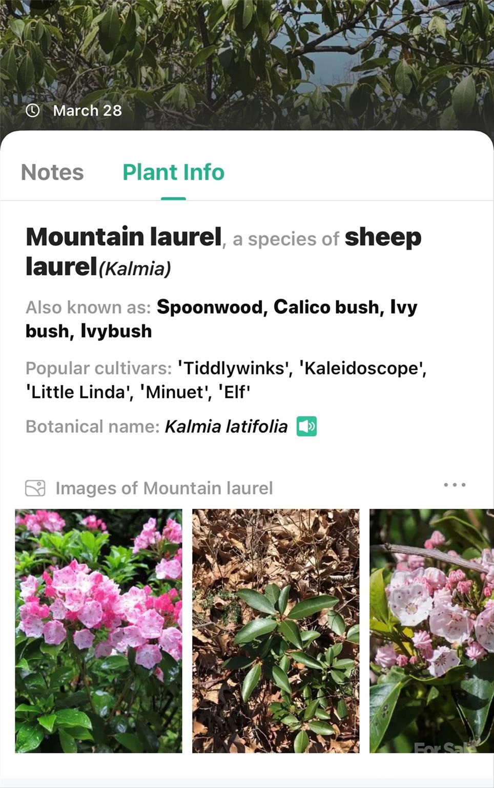 1099 Mitchell View Drive 915/915a Property Photo 30