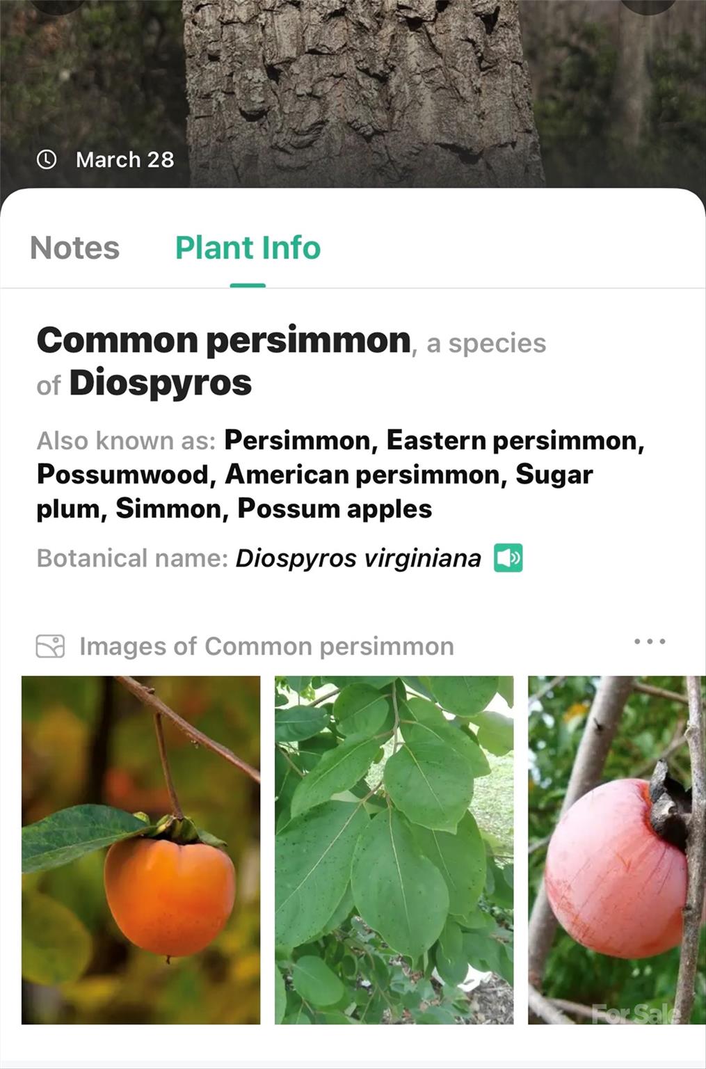 1099 Mitchell View Drive 915/915a Property Photo 31
