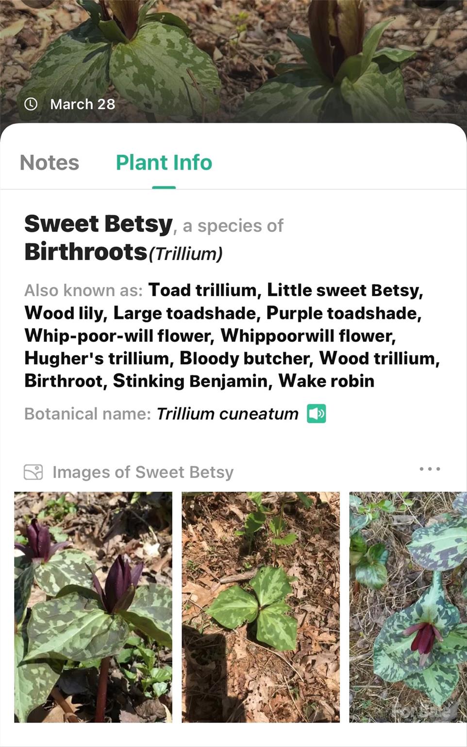 1099 Mitchell View Drive 915/915a Property Photo 32