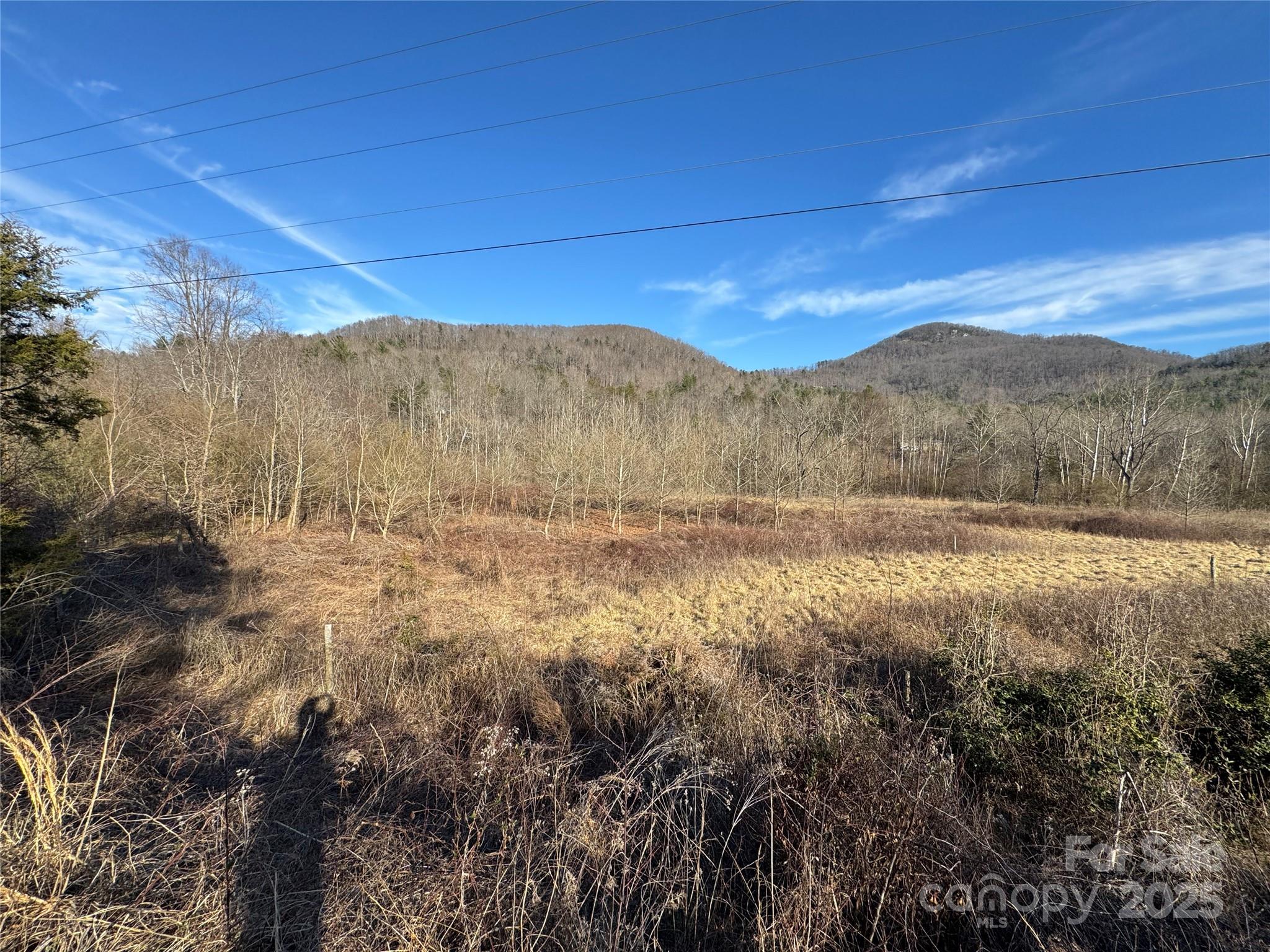 Tbd Nc 16 Highway Property Photo