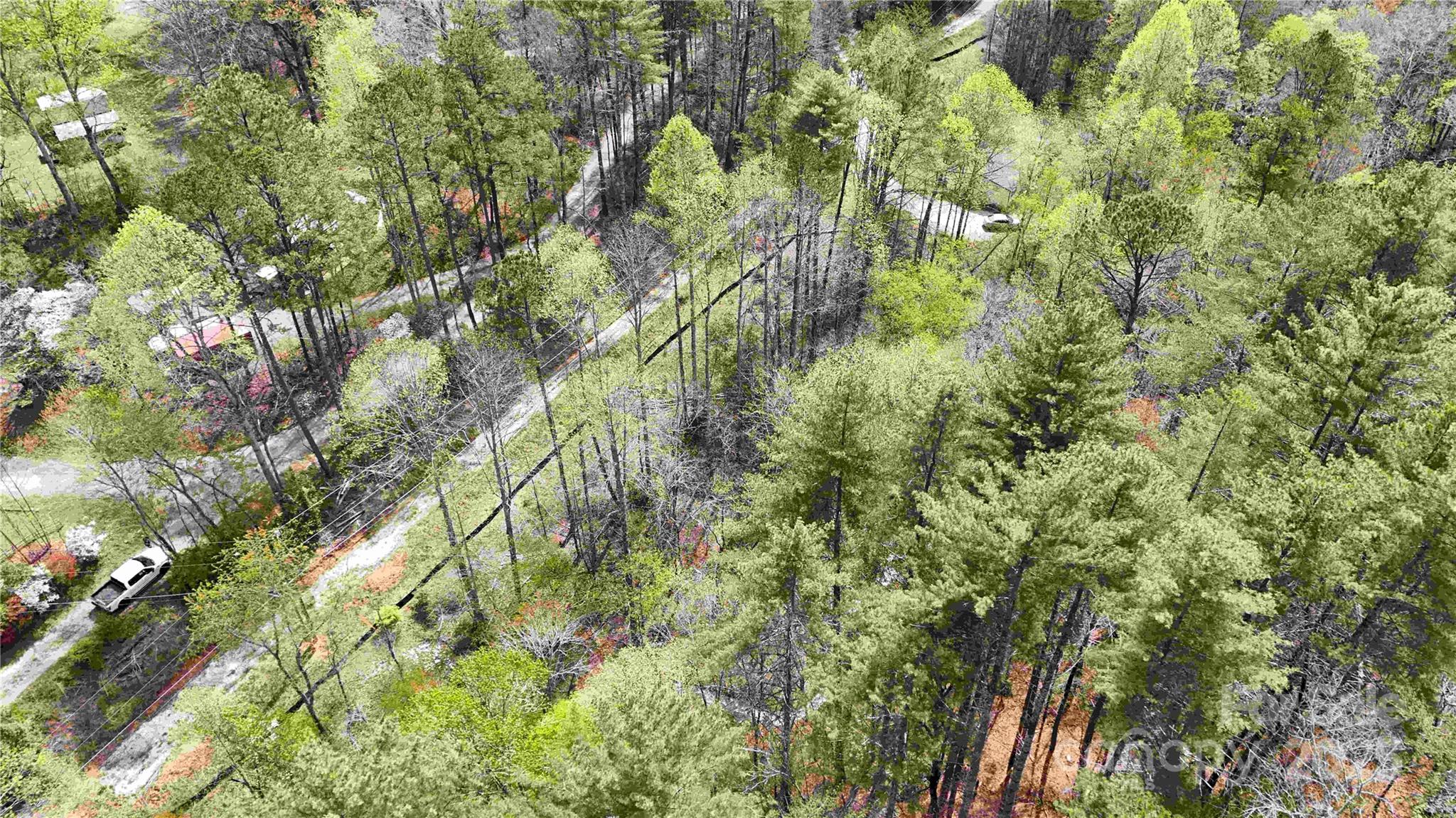 53 Dead End Trail Property Photo 15