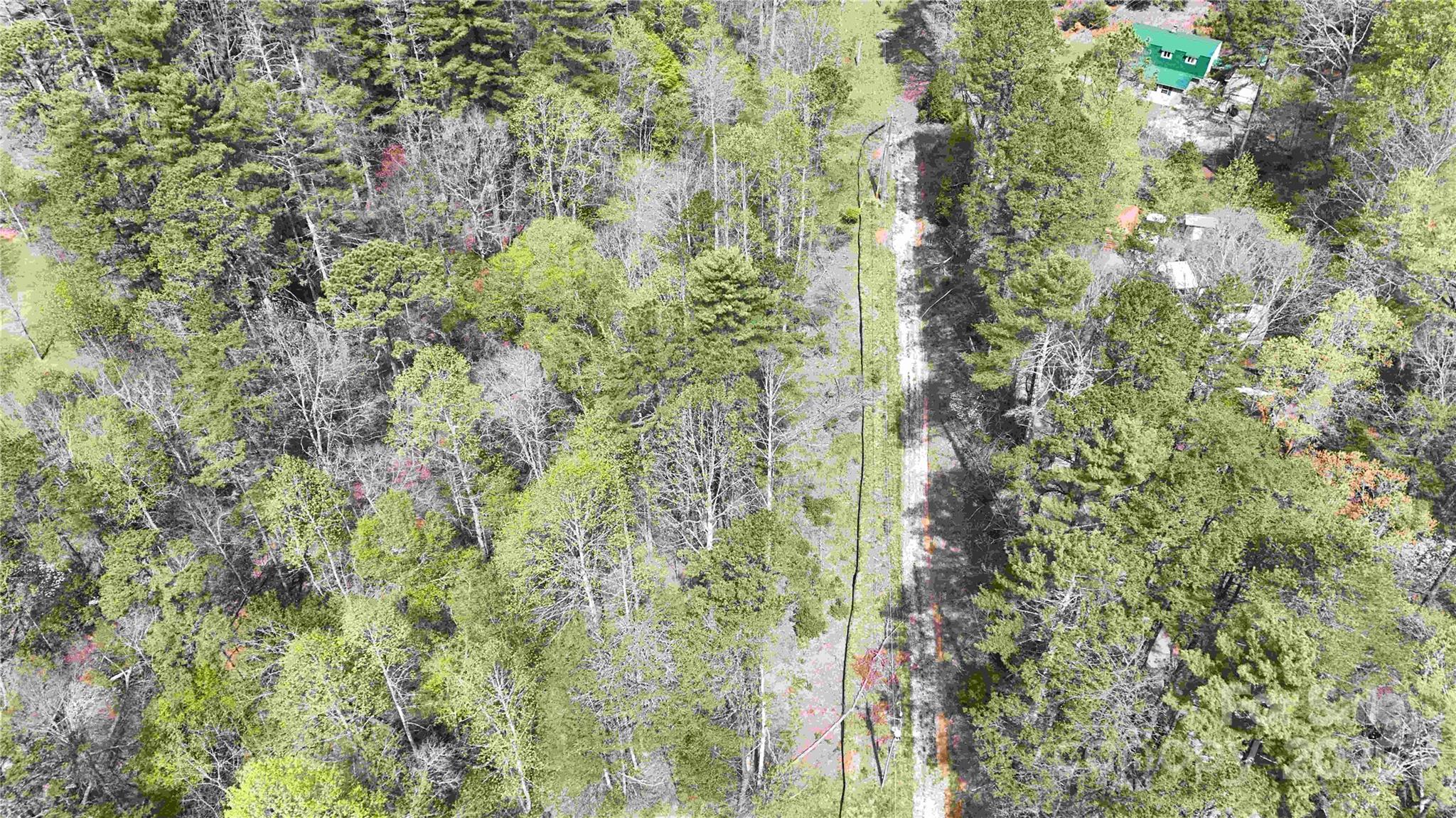 53 Dead End Trail Property Photo 18