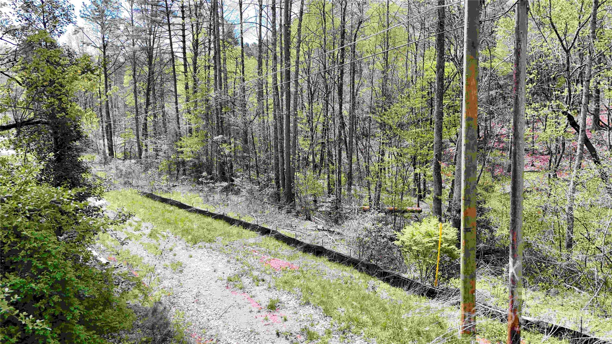 53 Dead End Trail Property Photo 22