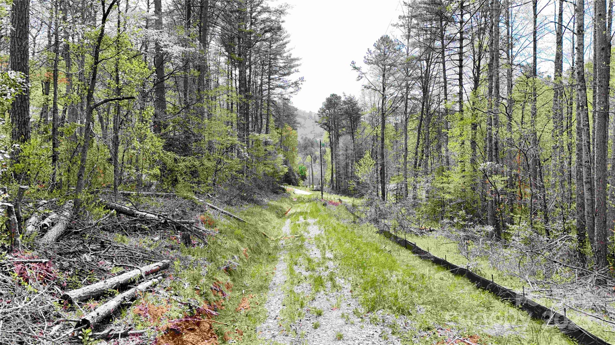 53 Dead End Trail Property Photo 23