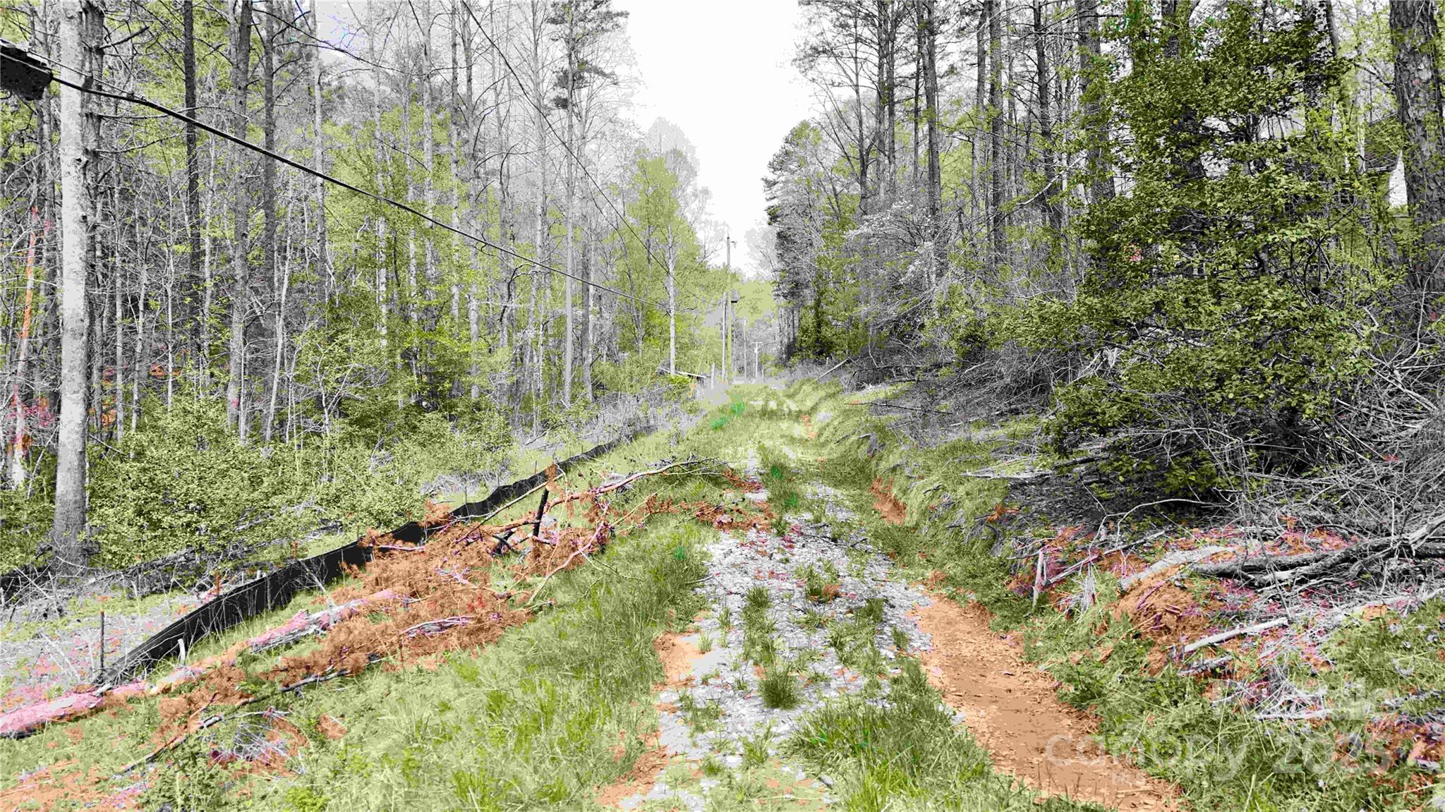 53 Dead End Trail Property Photo 25