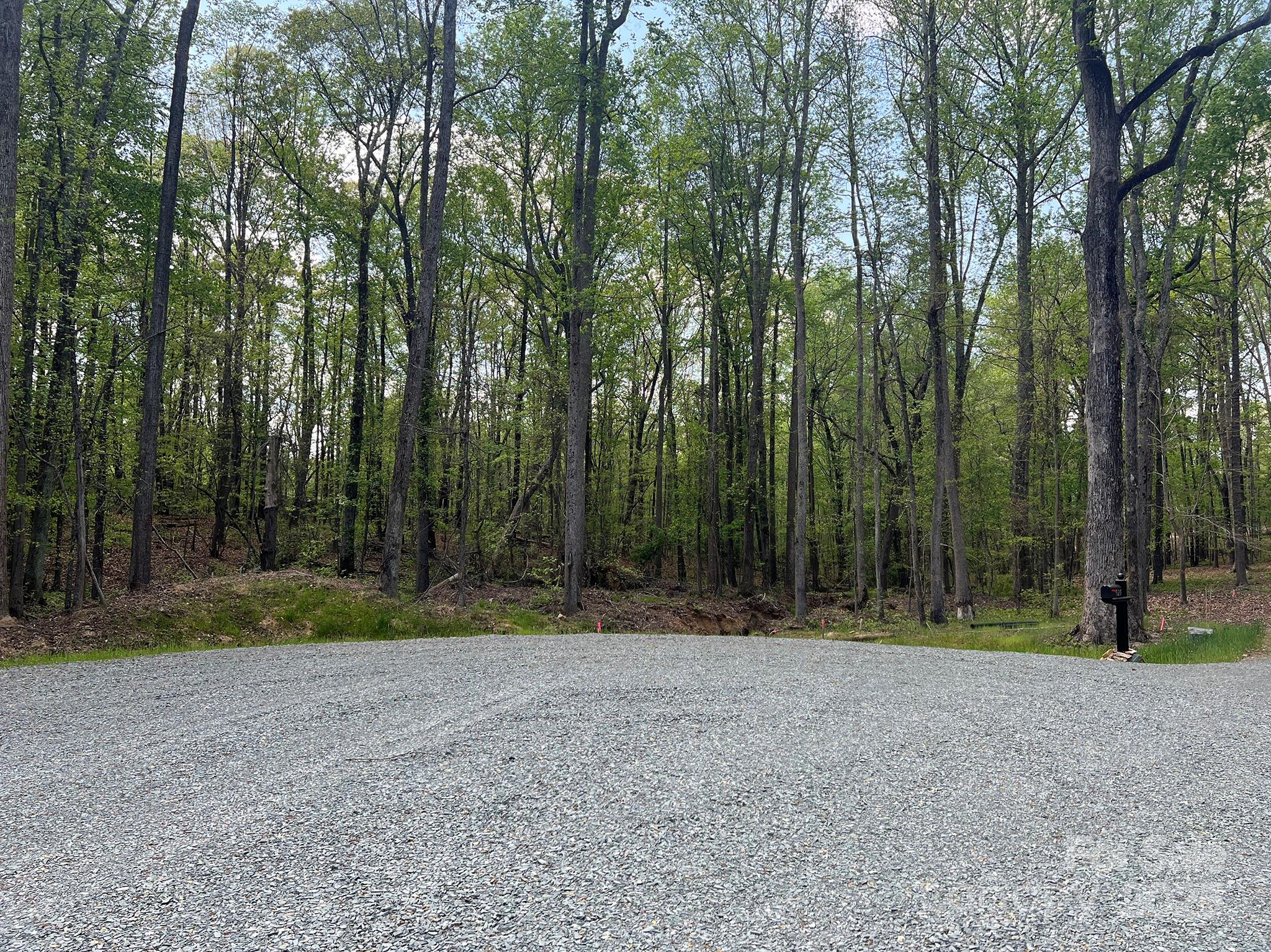 623 Mystic Way Lane Property Photo 3
