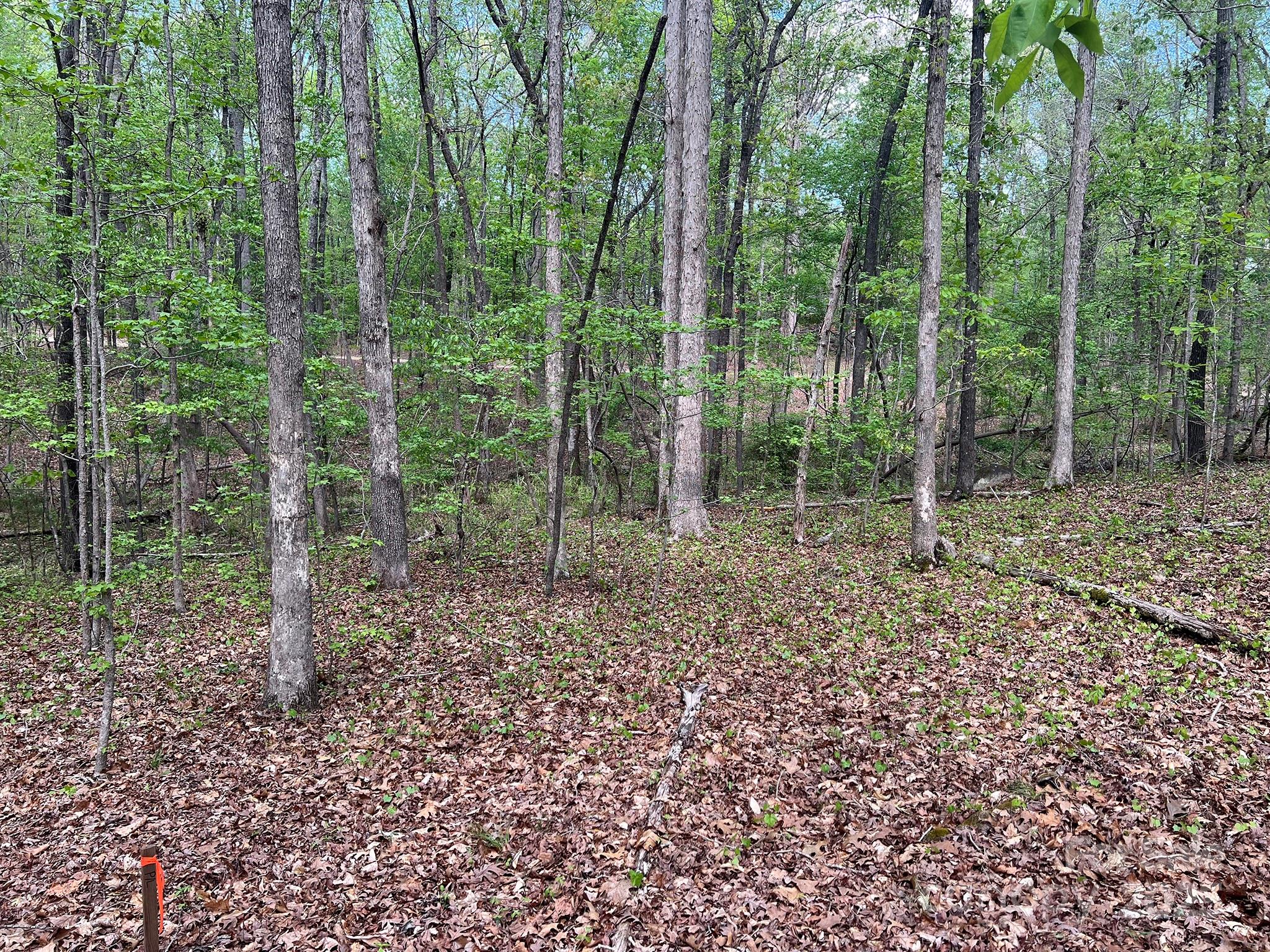 623 Mystic Way Lane Property Photo 4