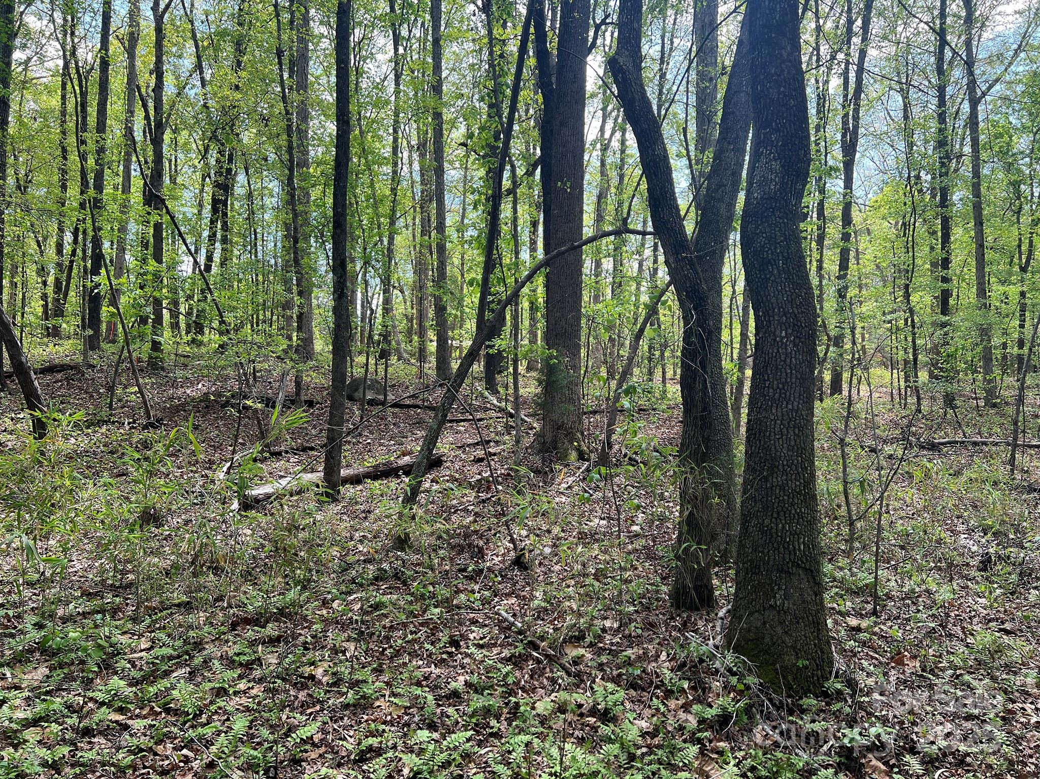 623 Mystic Way Lane Property Photo 12