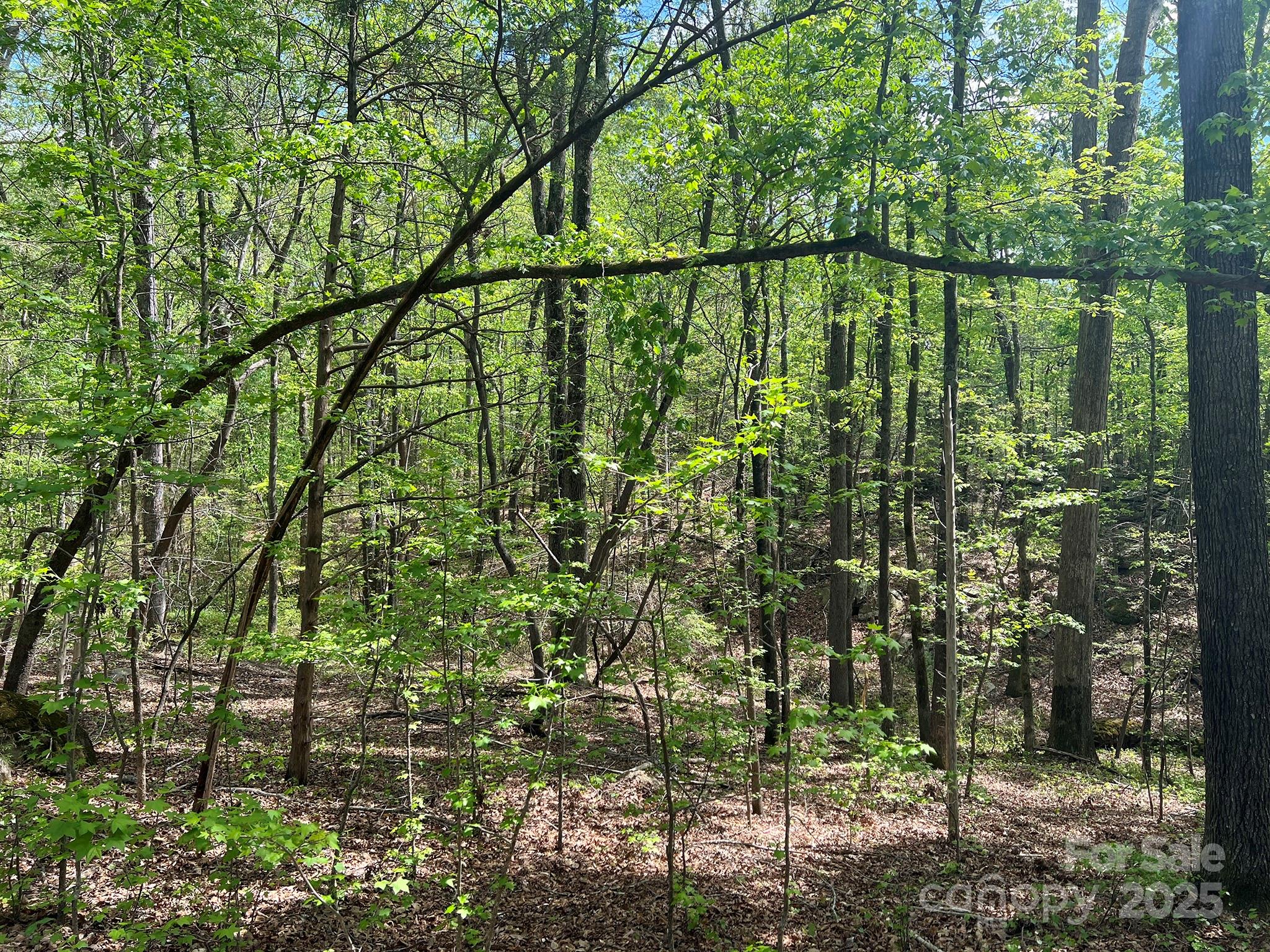 623 Mystic Way Lane Property Photo 15
