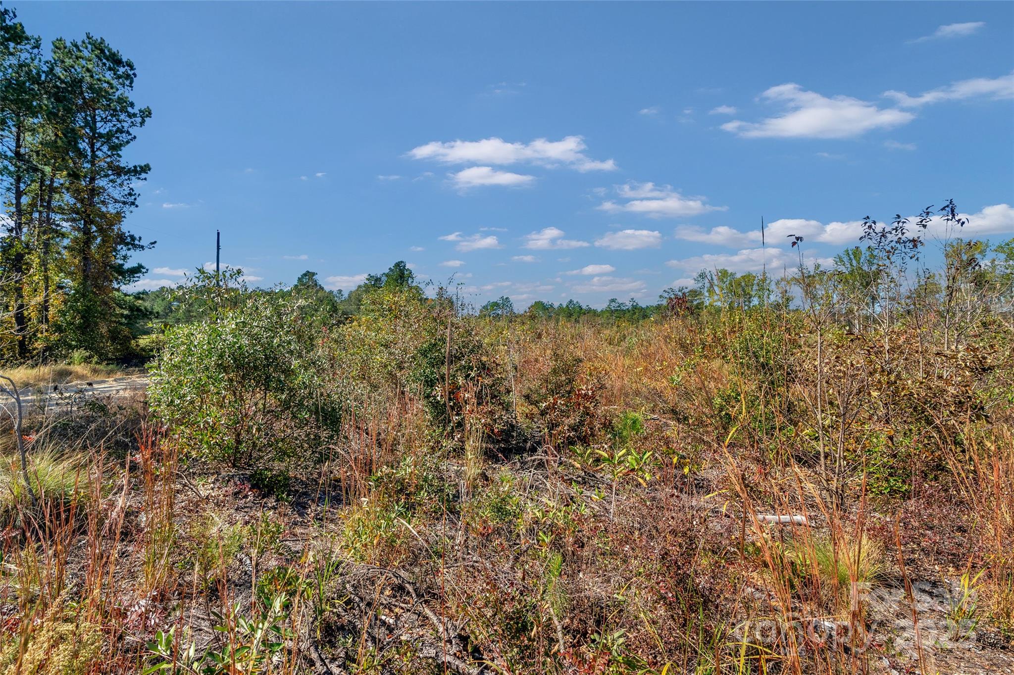 0000 Riley Road 3 Property Photo 15