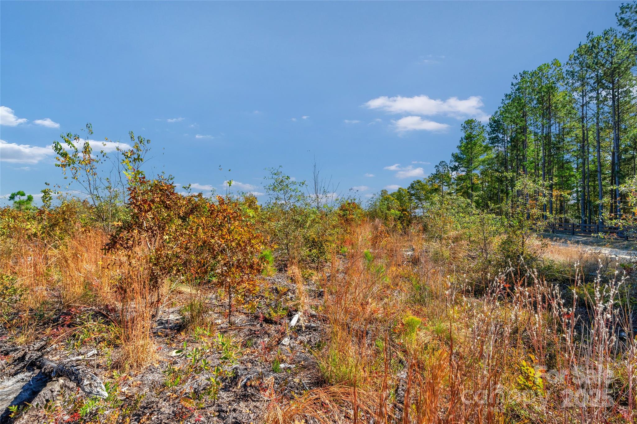 0000 Riley Road 3 Property Photo 18