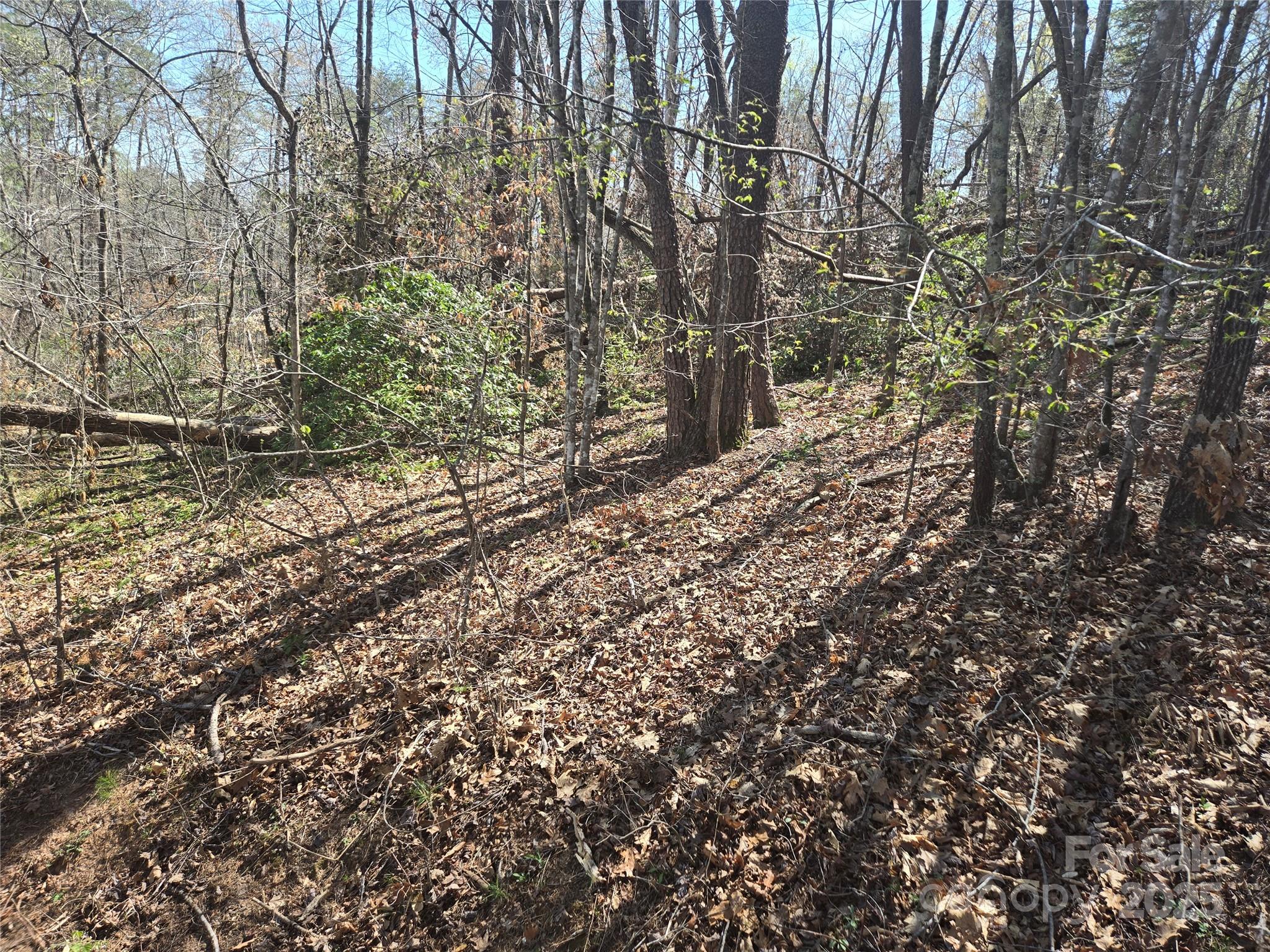 Lot 15 Jonathan Lane Property Photo 1