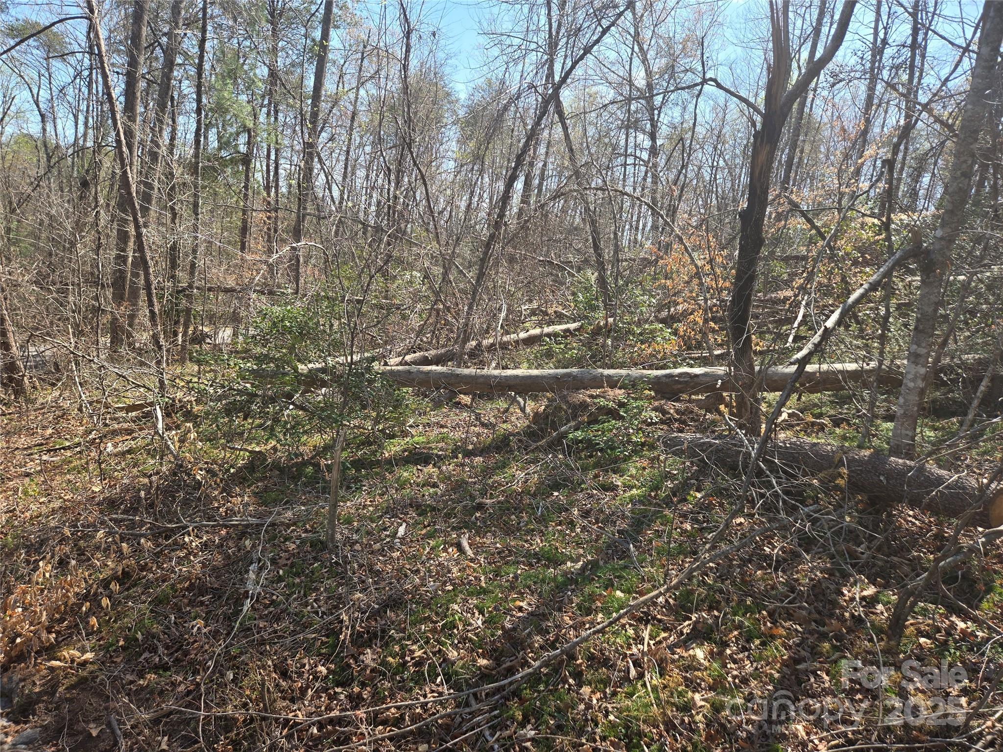 Lot 15 Jonathan Lane Property Photo 2