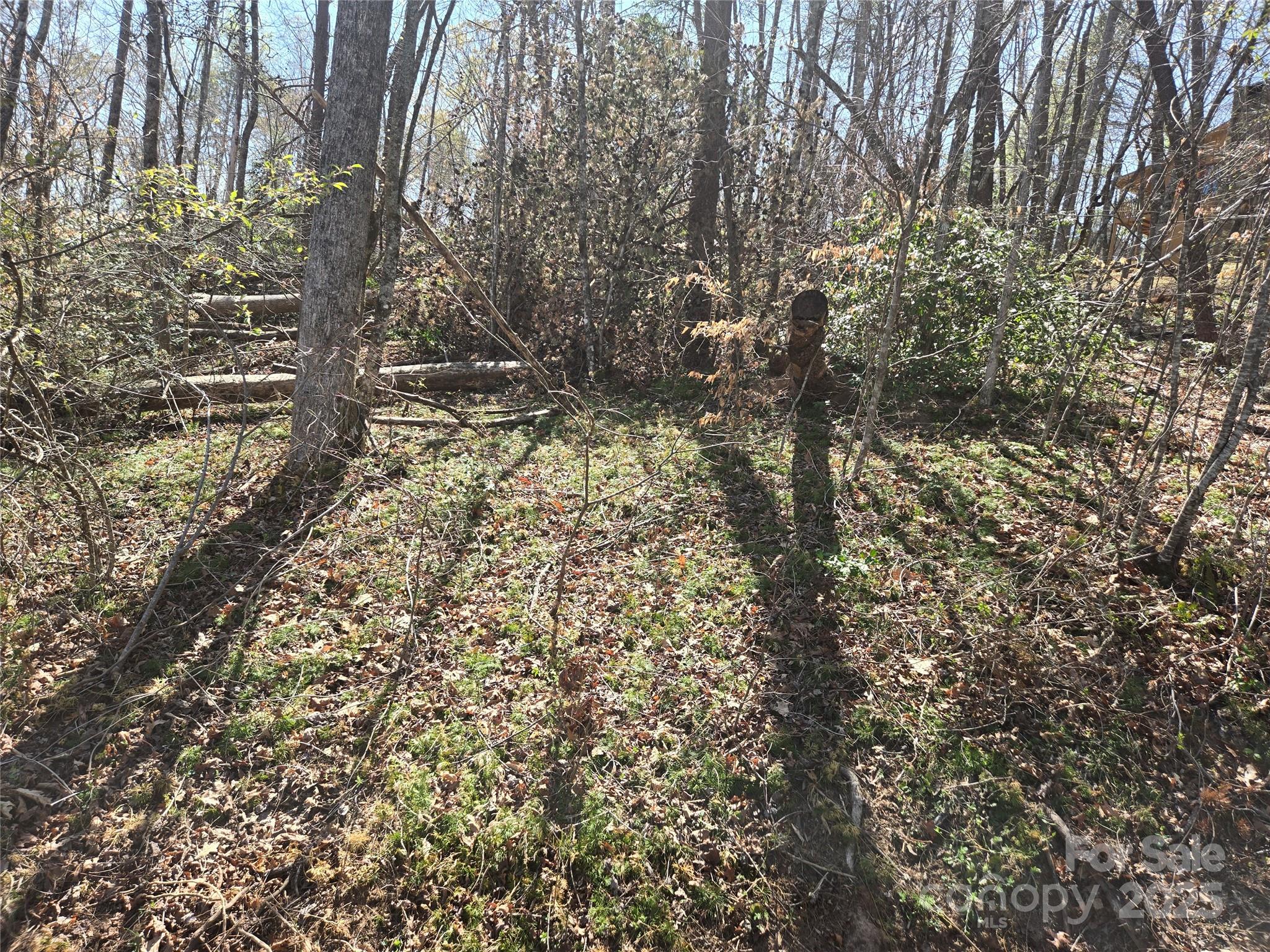 Lot 15 Jonathan Lane Property Photo 4