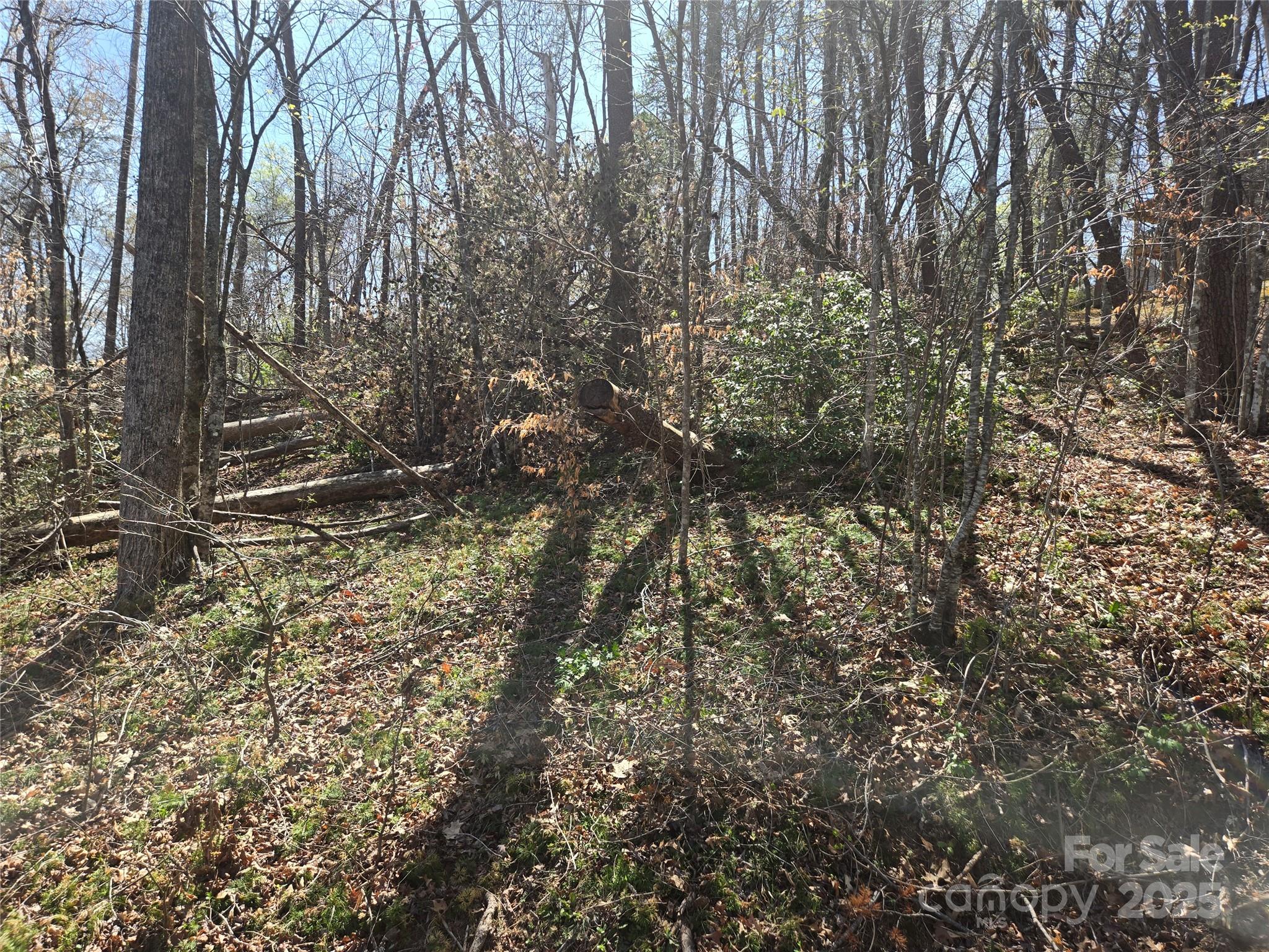 Lot 15 Jonathan Lane Property Photo 6