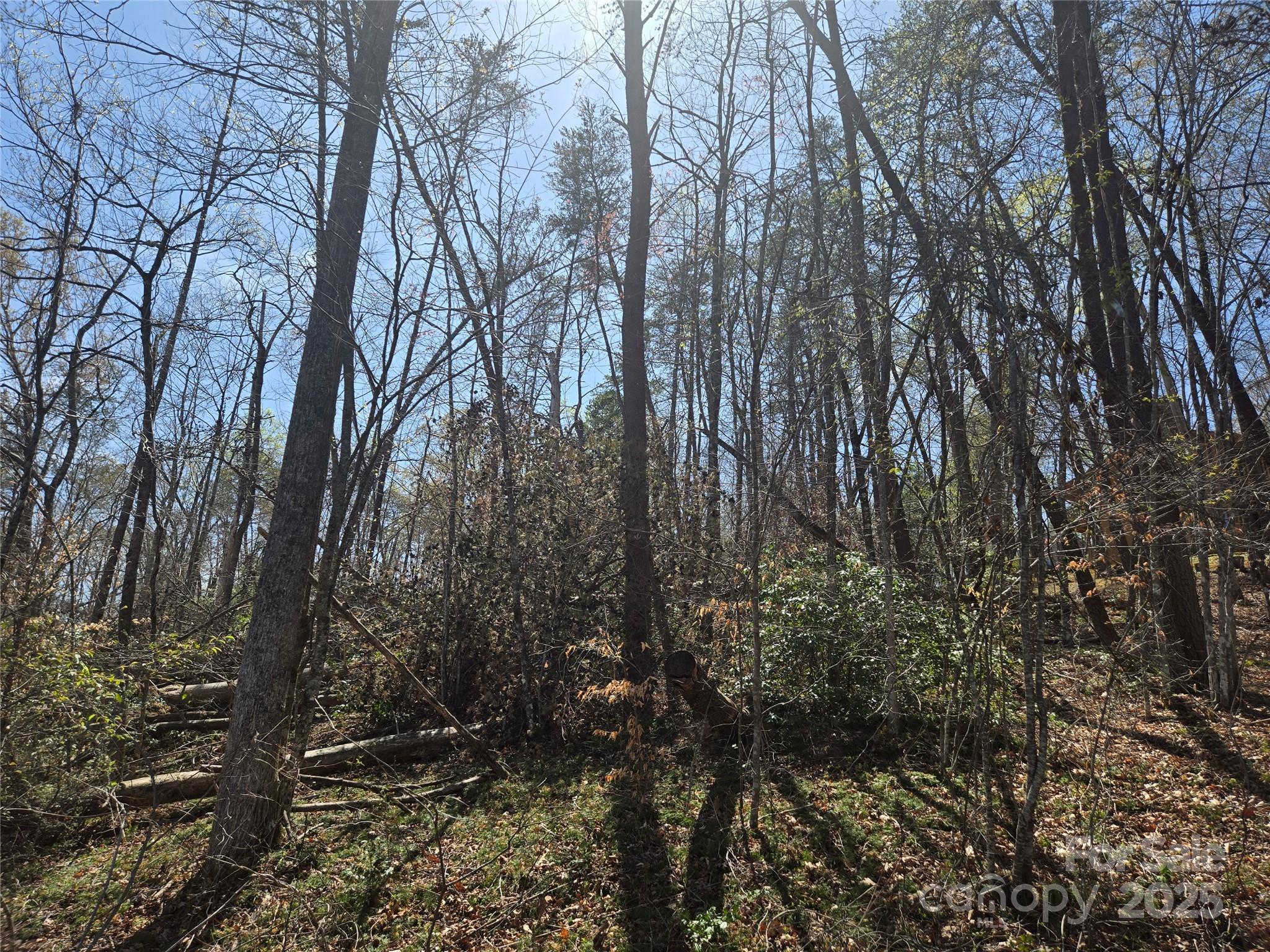 Lot 15 Jonathan Lane Property Photo 7