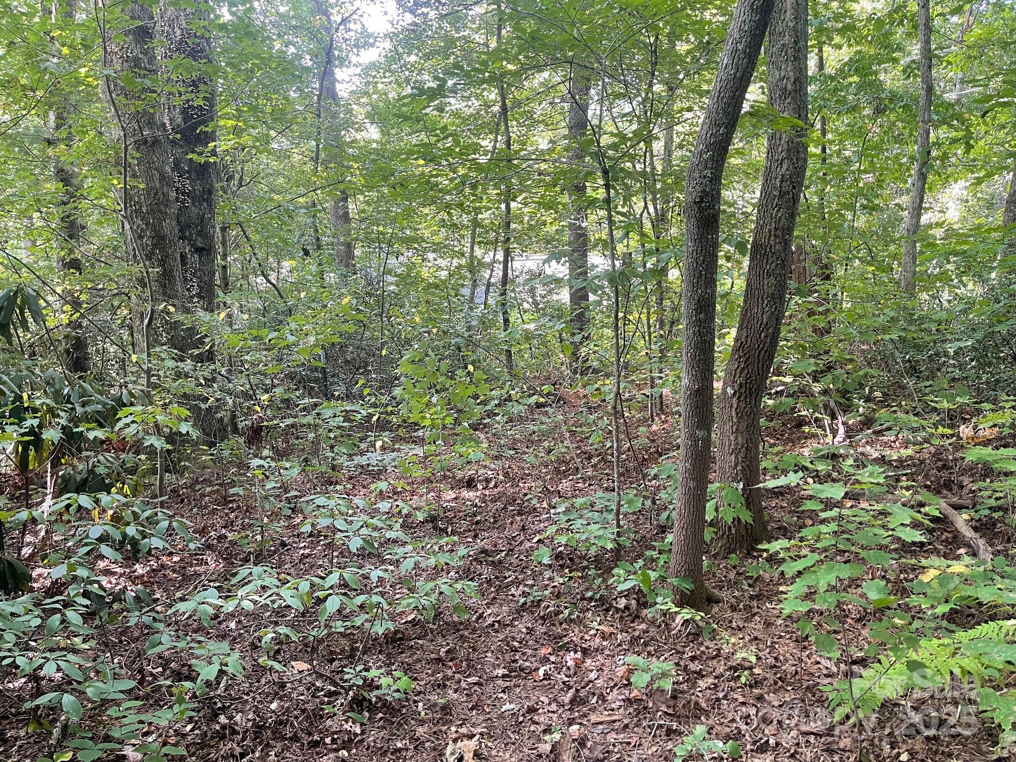 Tbd Rattlesnake Mountain Road Property Photo