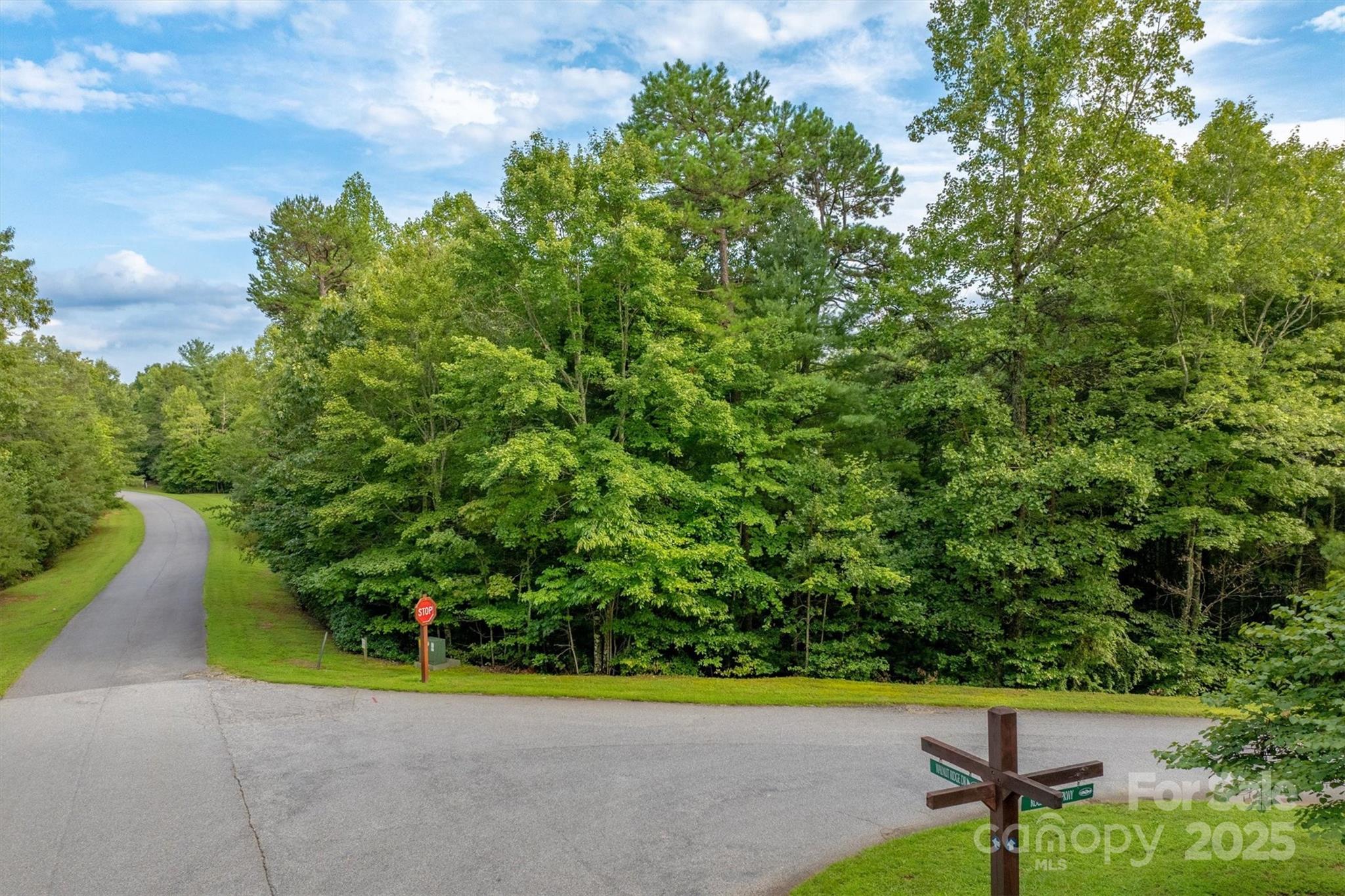 5 Round Mountain Parkway 5 Property Photo 6