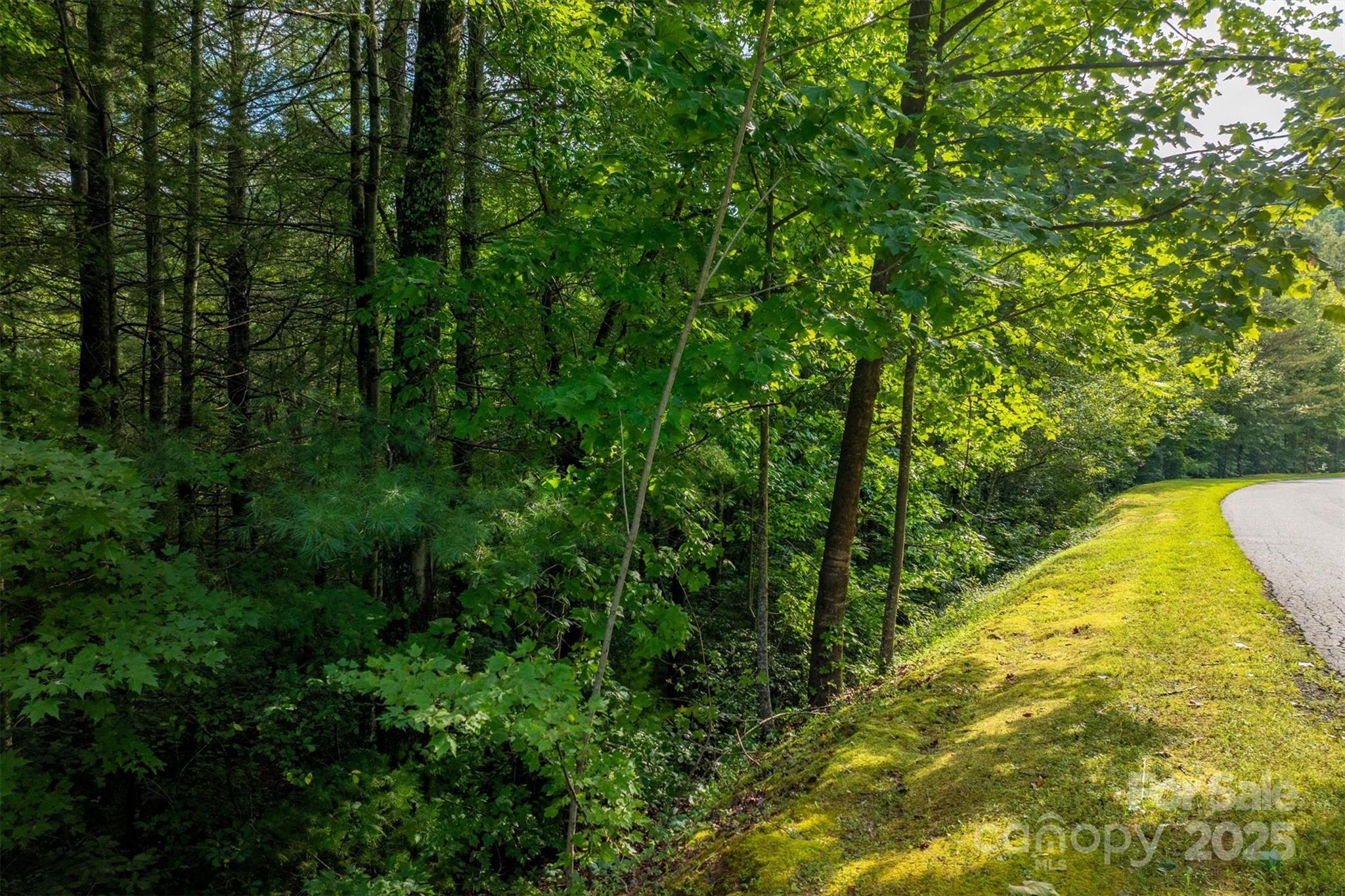 5 Round Mountain Parkway 5 Property Photo 8