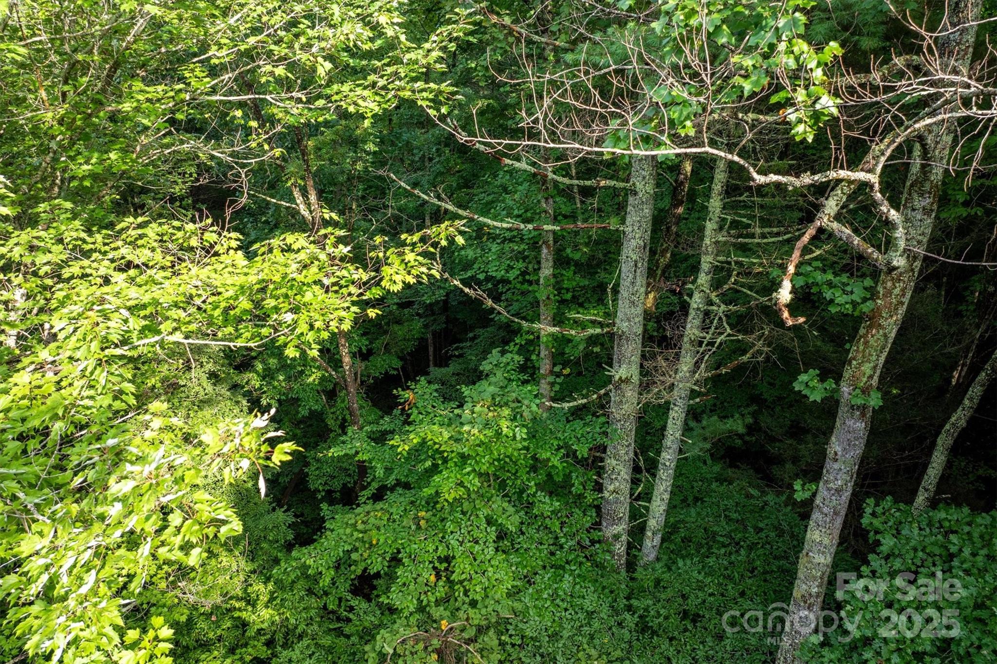 5 Round Mountain Parkway 5 Property Photo 9