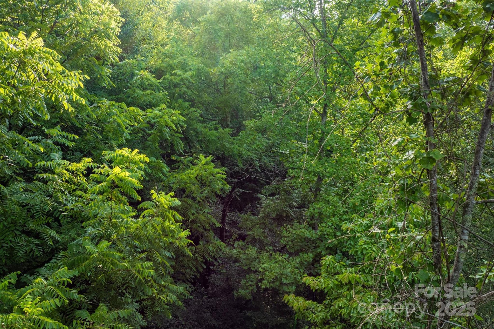 5 Round Mountain Parkway 5 Property Photo 10