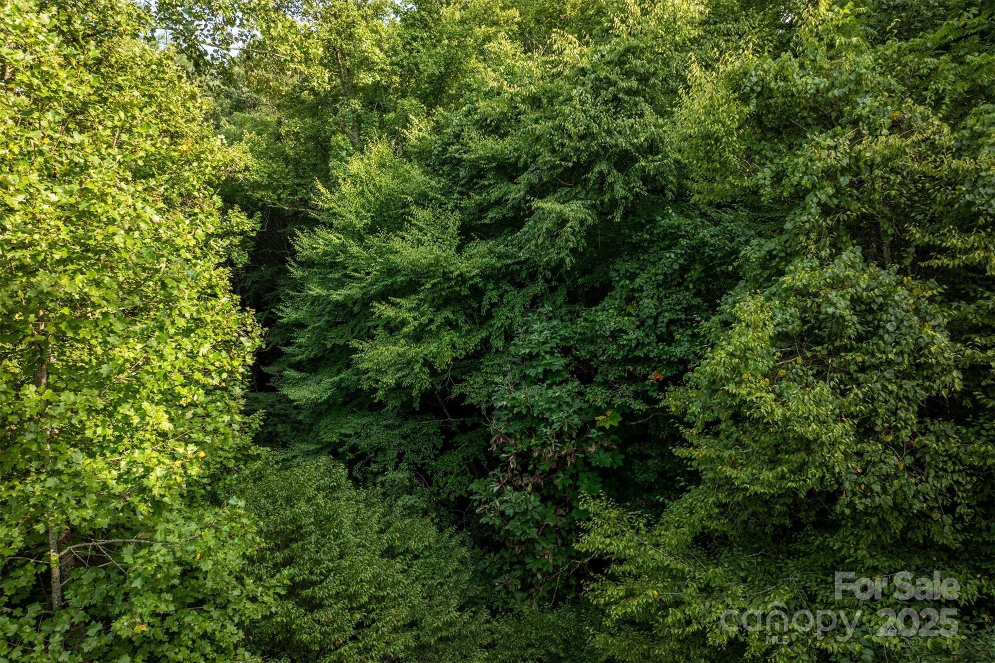 5 Round Mountain Parkway 5 Property Photo 11