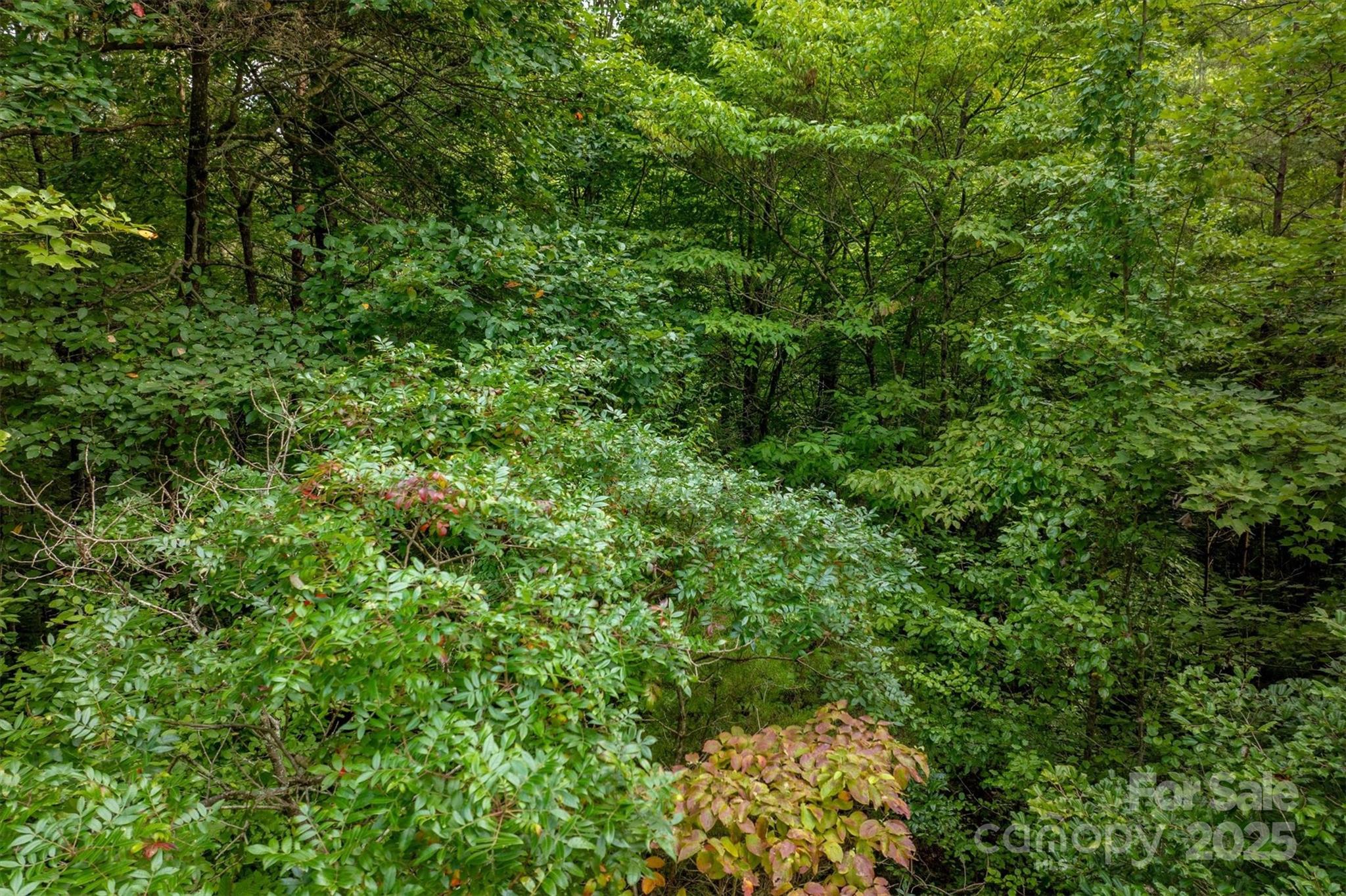 5 Round Mountain Parkway 5 Property Photo 12