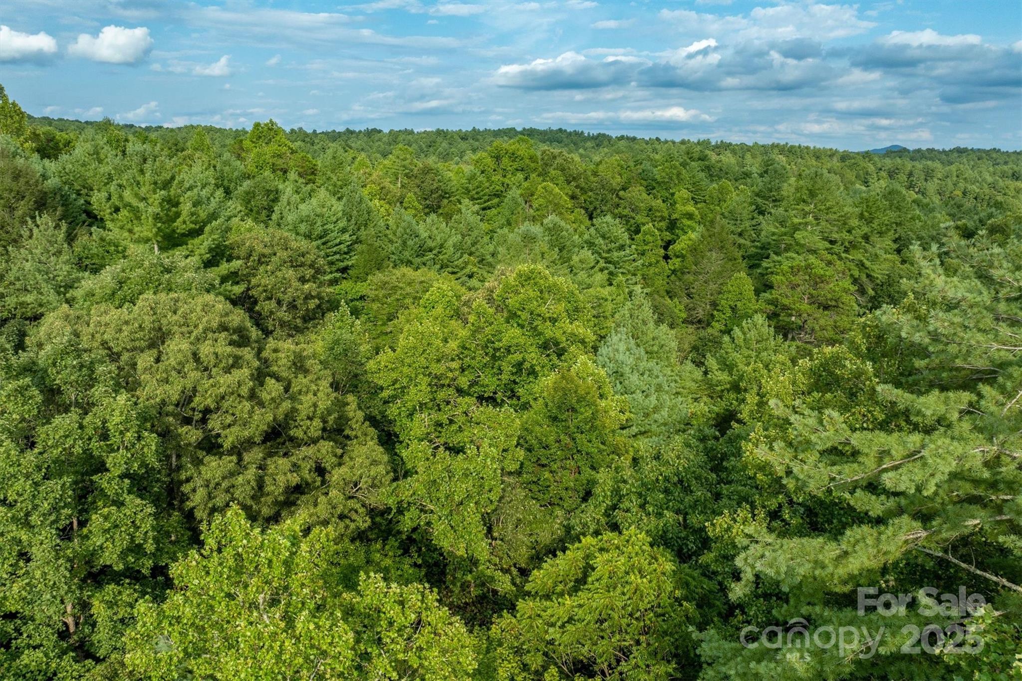 5 Round Mountain Parkway 5 Property Photo 13