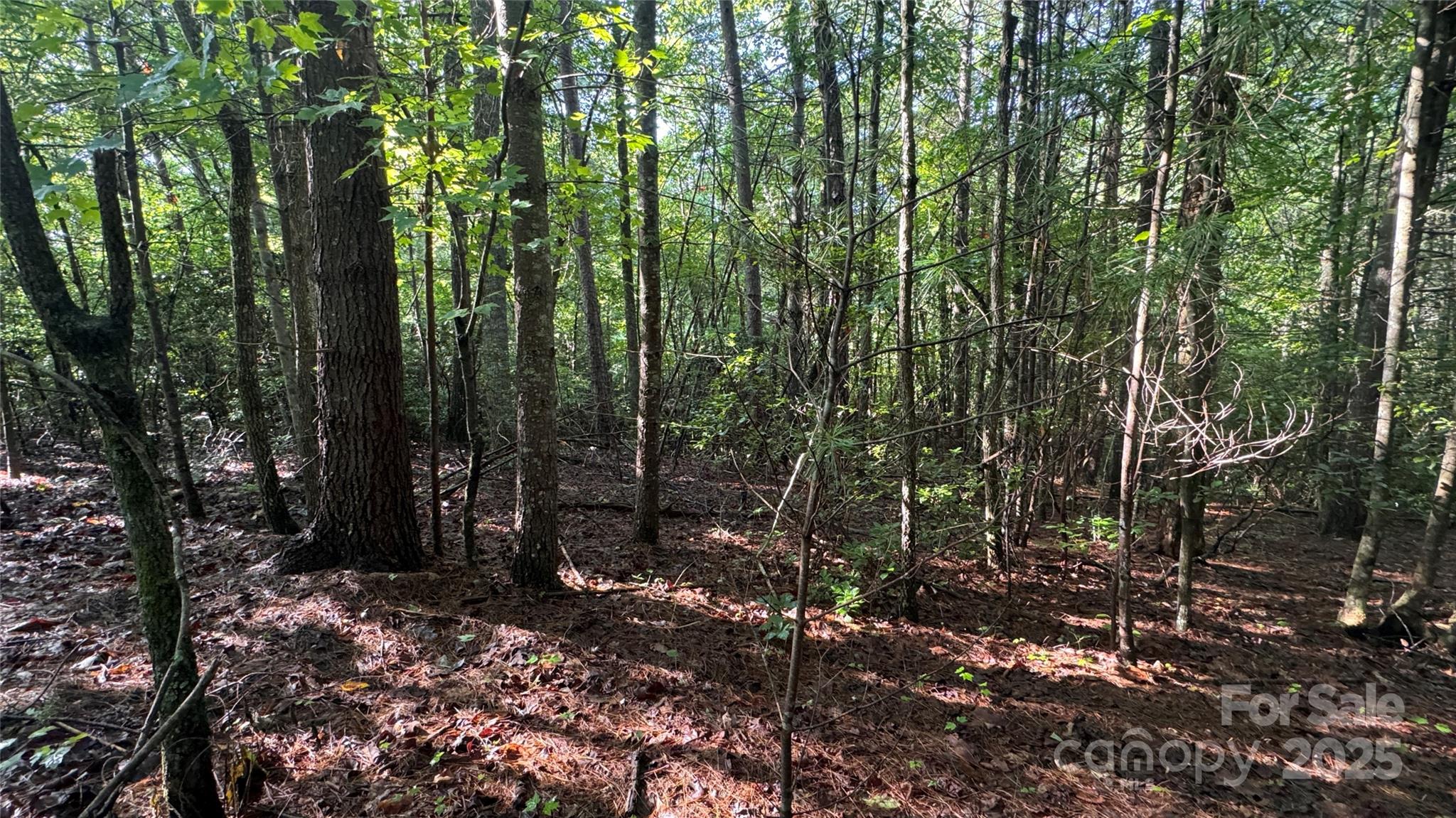 5 Round Mountain Parkway 5 Property Photo 14