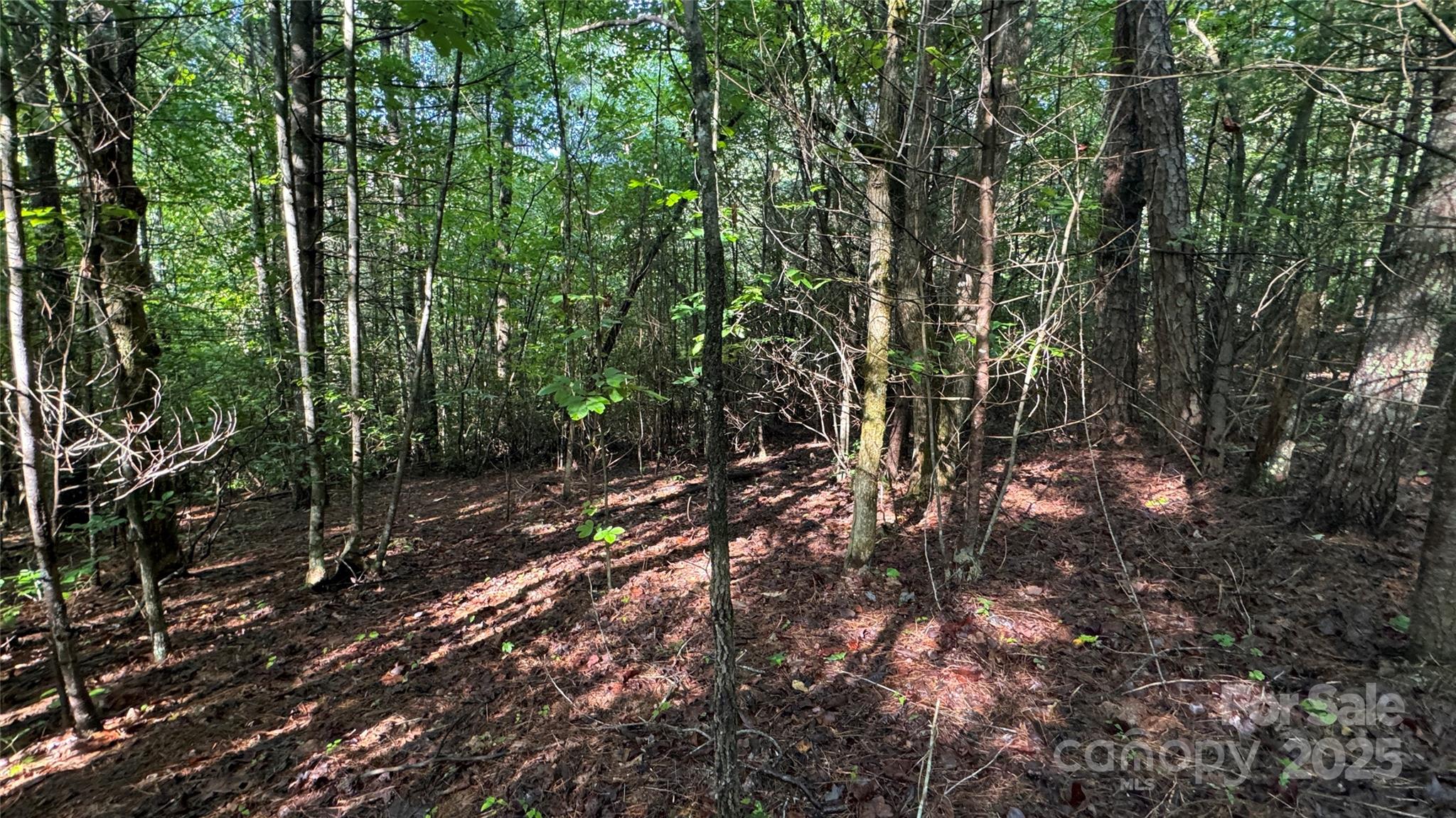 5 Round Mountain Parkway 5 Property Photo 15