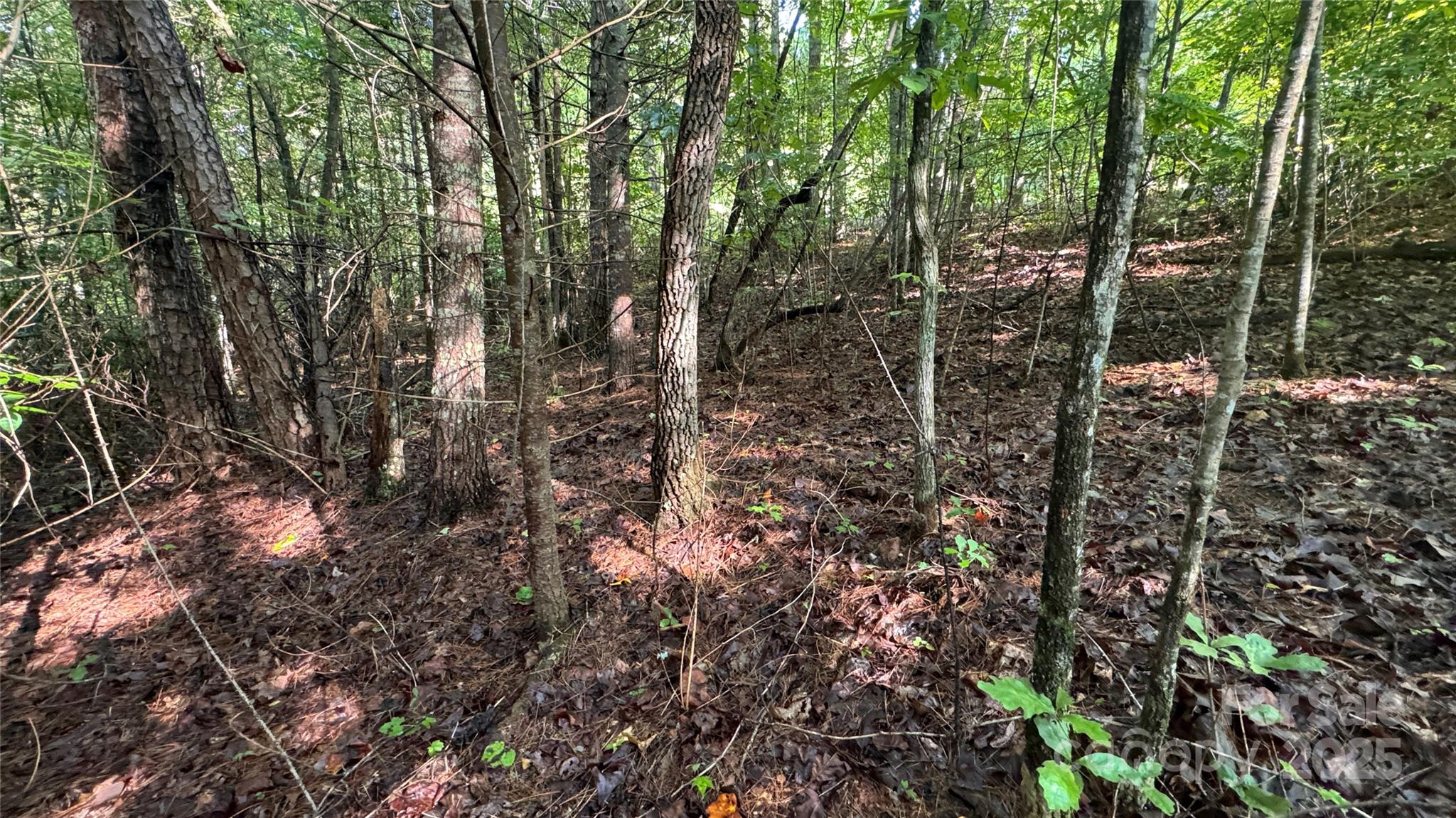 5 Round Mountain Parkway 5 Property Photo 17