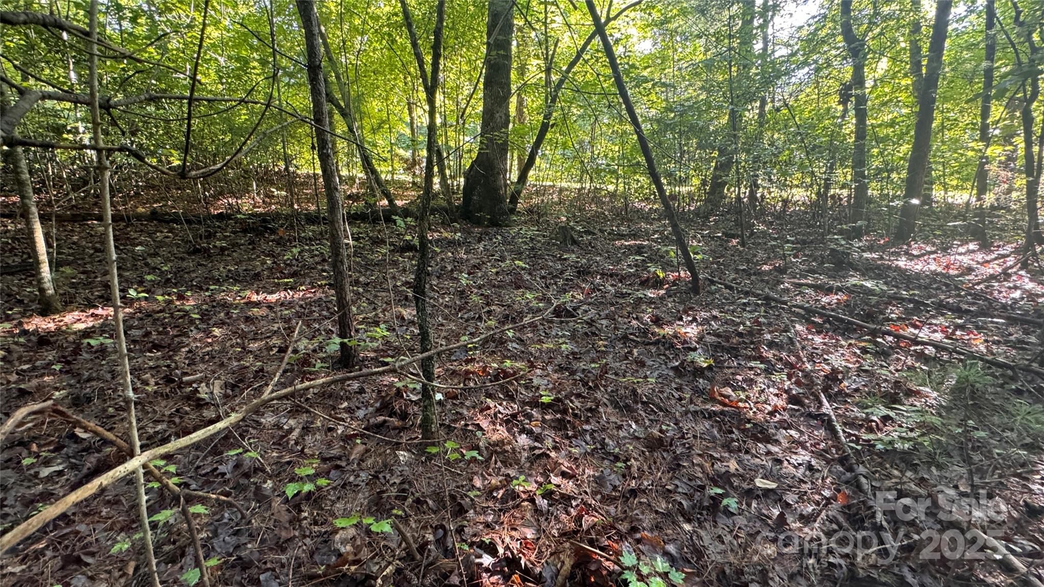 5 Round Mountain Parkway 5 Property Photo 18