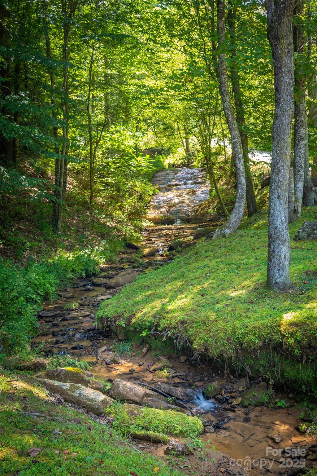 5 Round Mountain Parkway 5 Property Photo 28