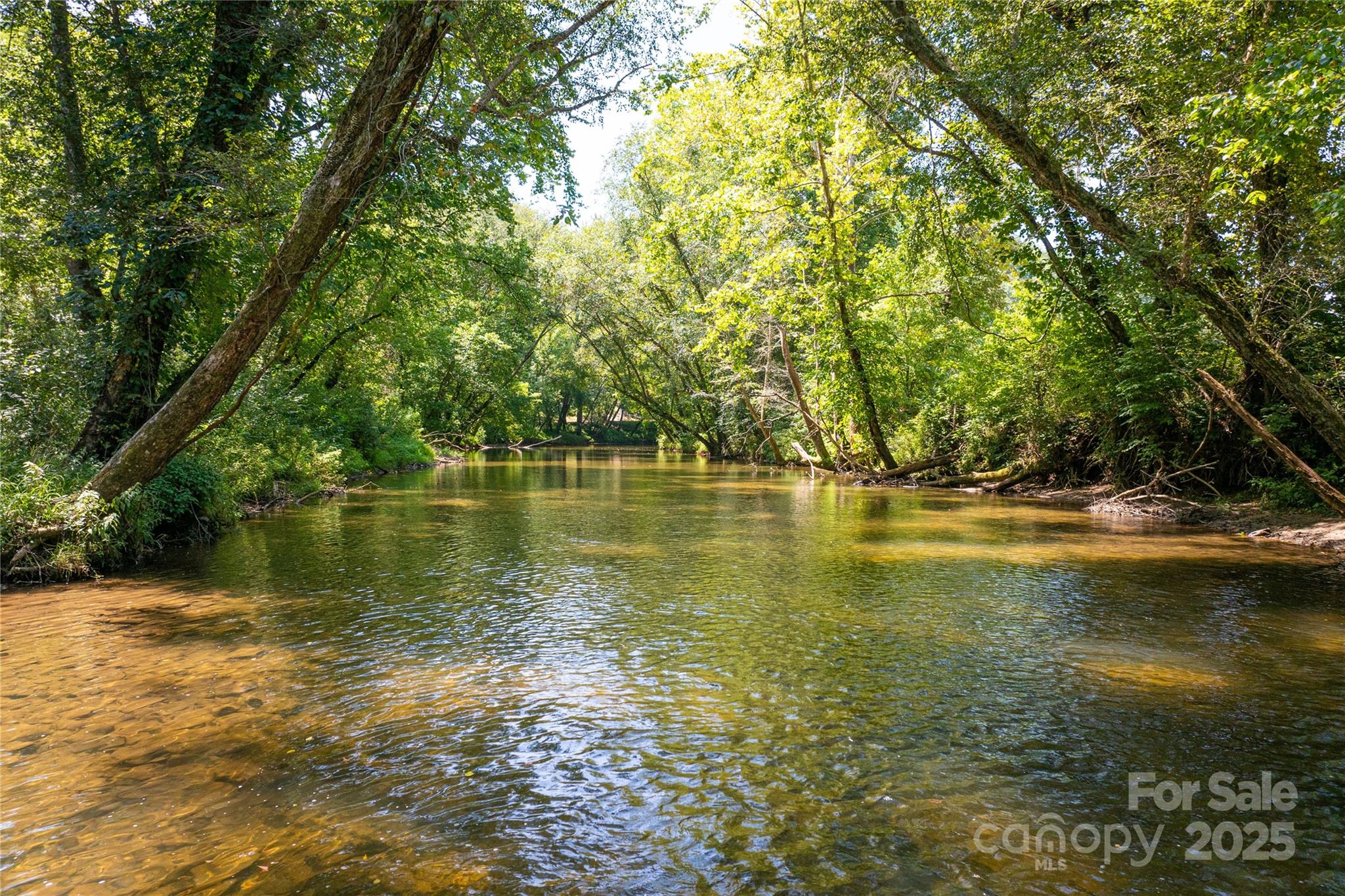 5 Round Mountain Parkway 5 Property Photo 29