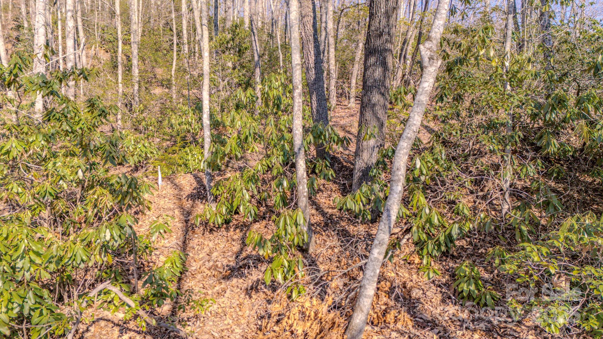 99999 Upper Peace Drive Property Photo 1