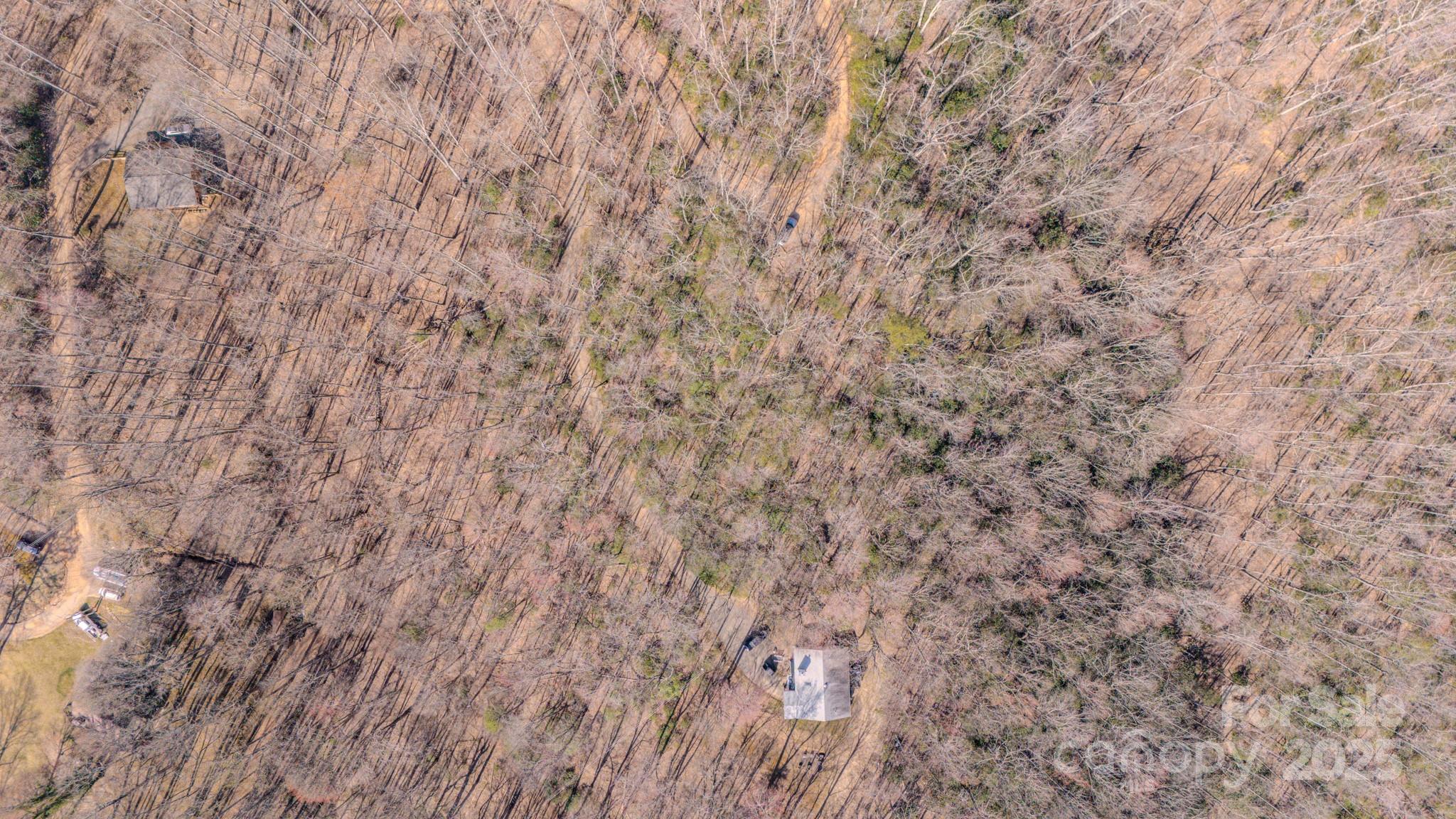 99999 Upper Peace Drive Property Photo 8