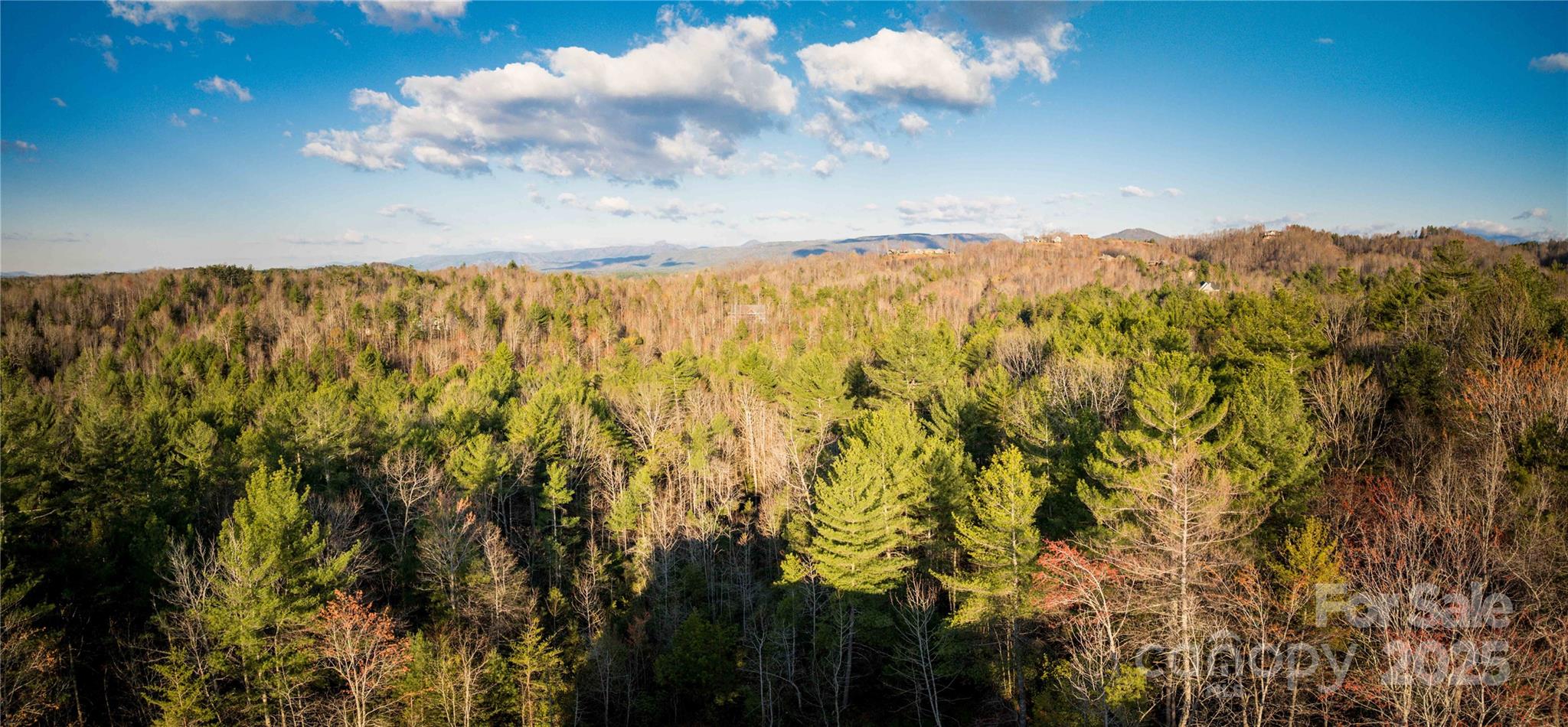 1555 Royal Lane Property Photo 40