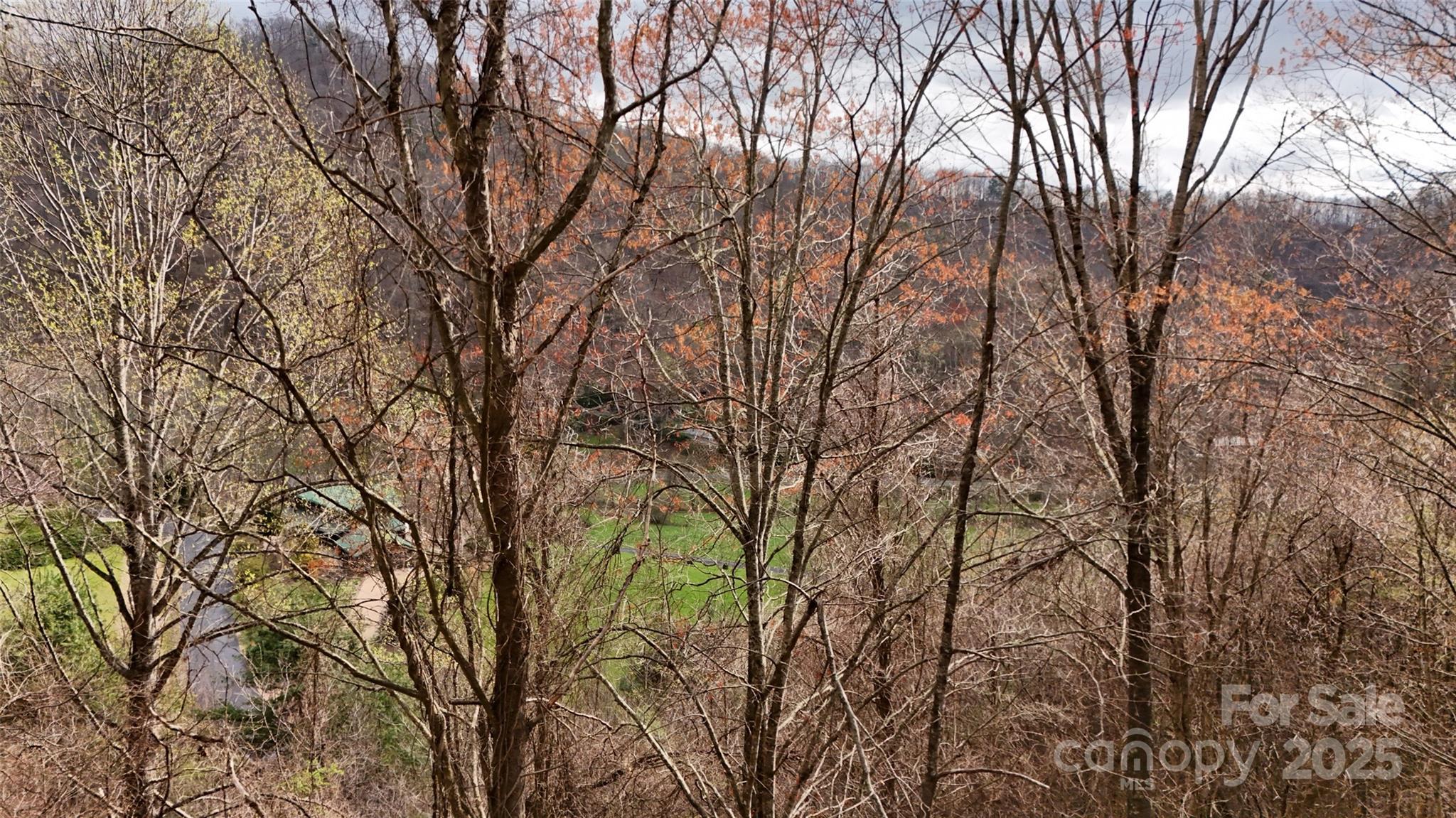380 Serenity Mountain Lane Property Photo 6