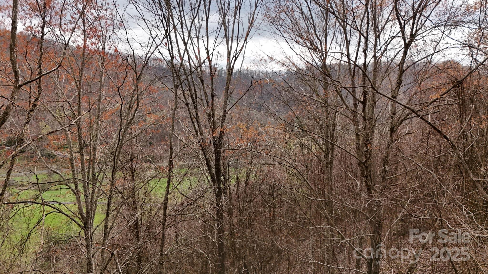 380 Serenity Mountain Lane Property Photo 7