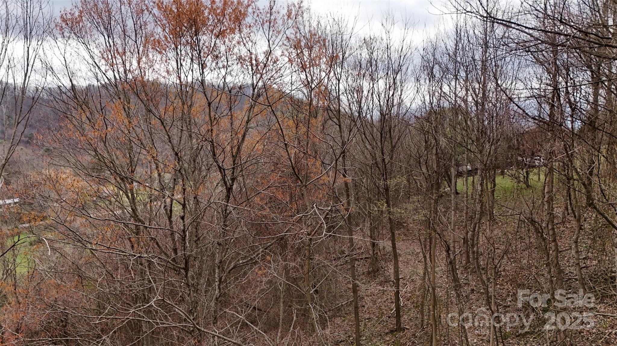 380 Serenity Mountain Lane Property Photo 8