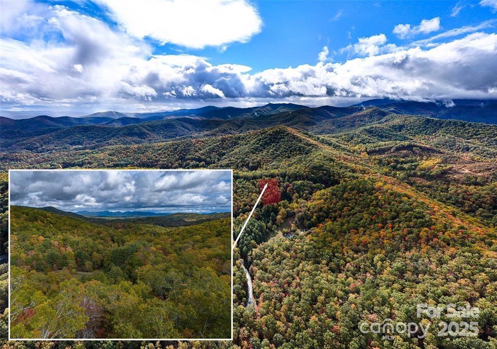 99999 Mills River Way Lot 107 Property Photo 1