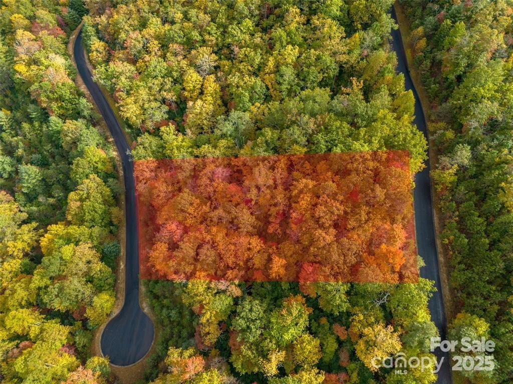99999 Mills River Way Lot 107 Property Photo 2