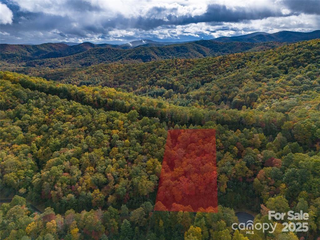 99999 Mills River Way Lot 107 Property Photo 4