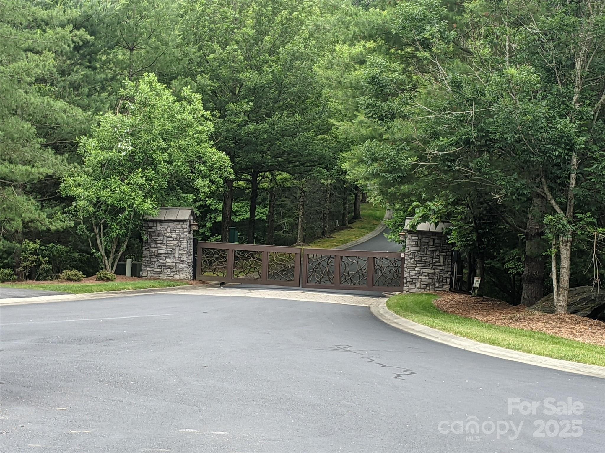 99999 Mills River Way Lot 107 Property Photo 7