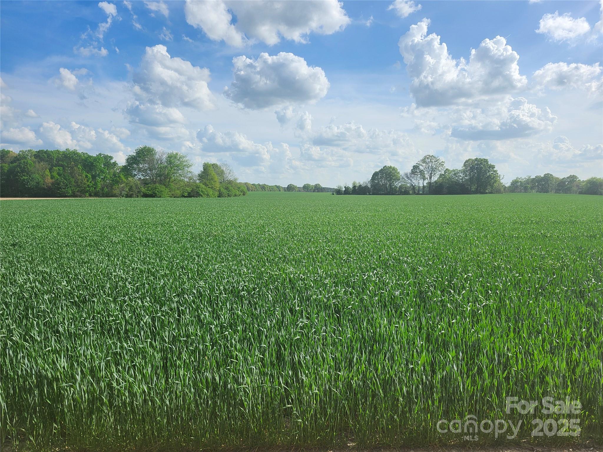617 Country Wood Road Property Photo