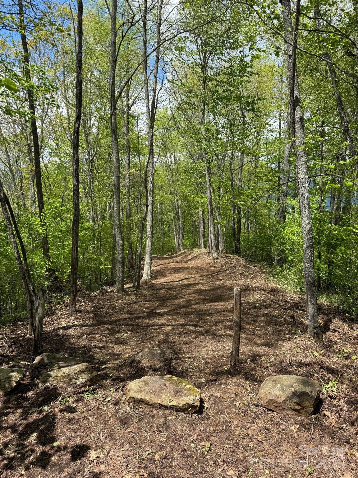 1817 E Reach Road 216 Property Photo 2