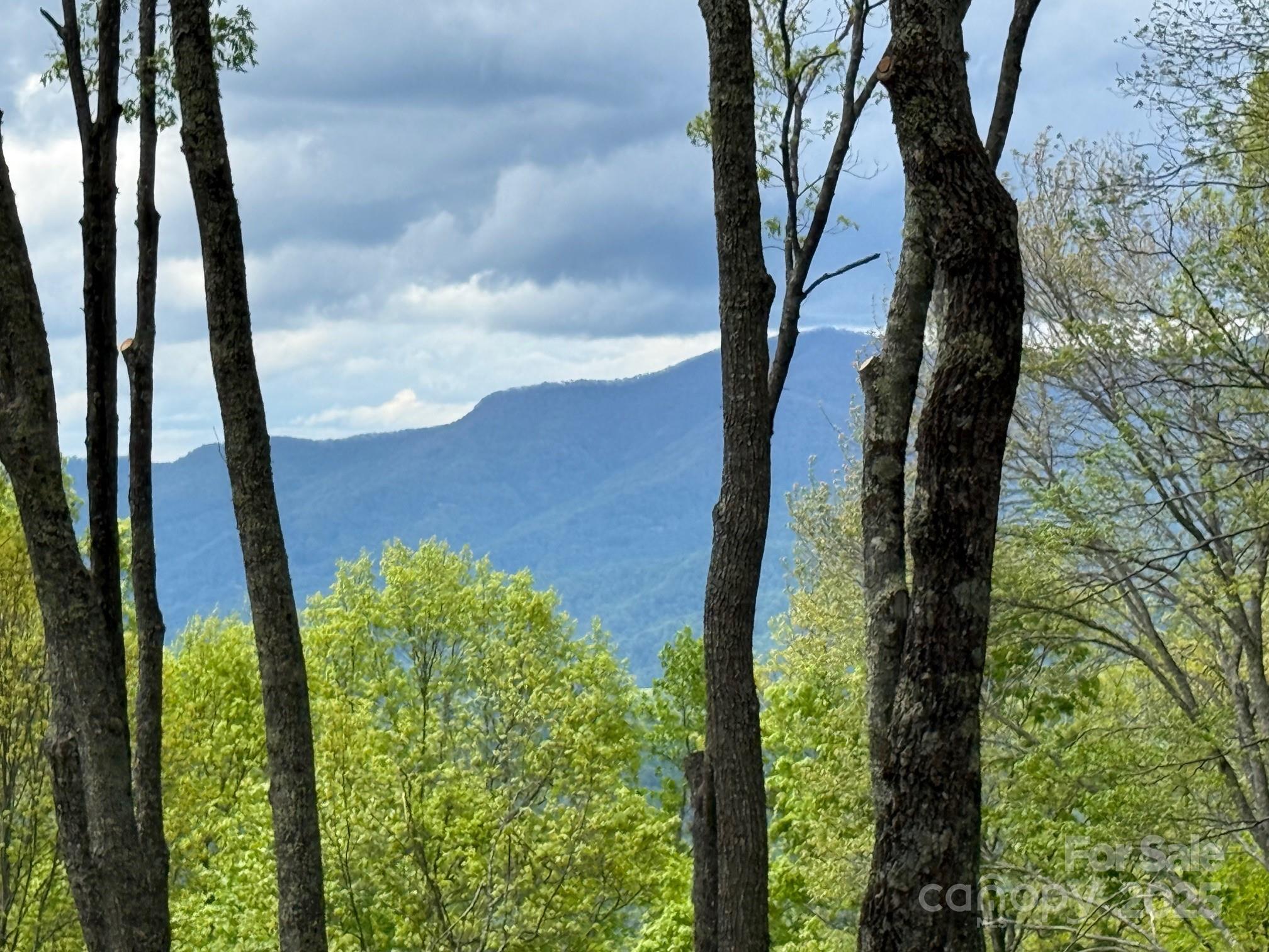 1817 E Reach Road 216 Property Photo 3