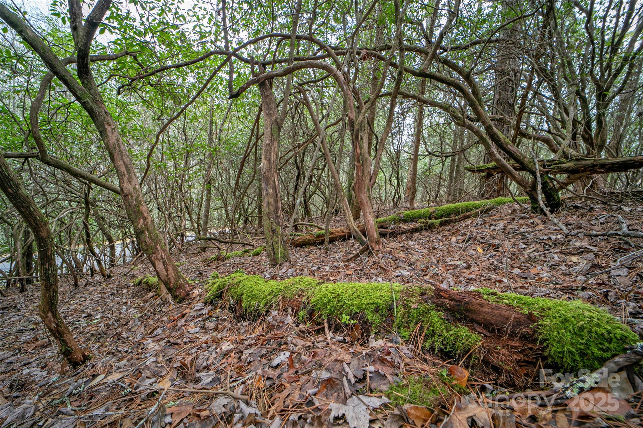 Lot 131 Thunder Road Property Photo 3